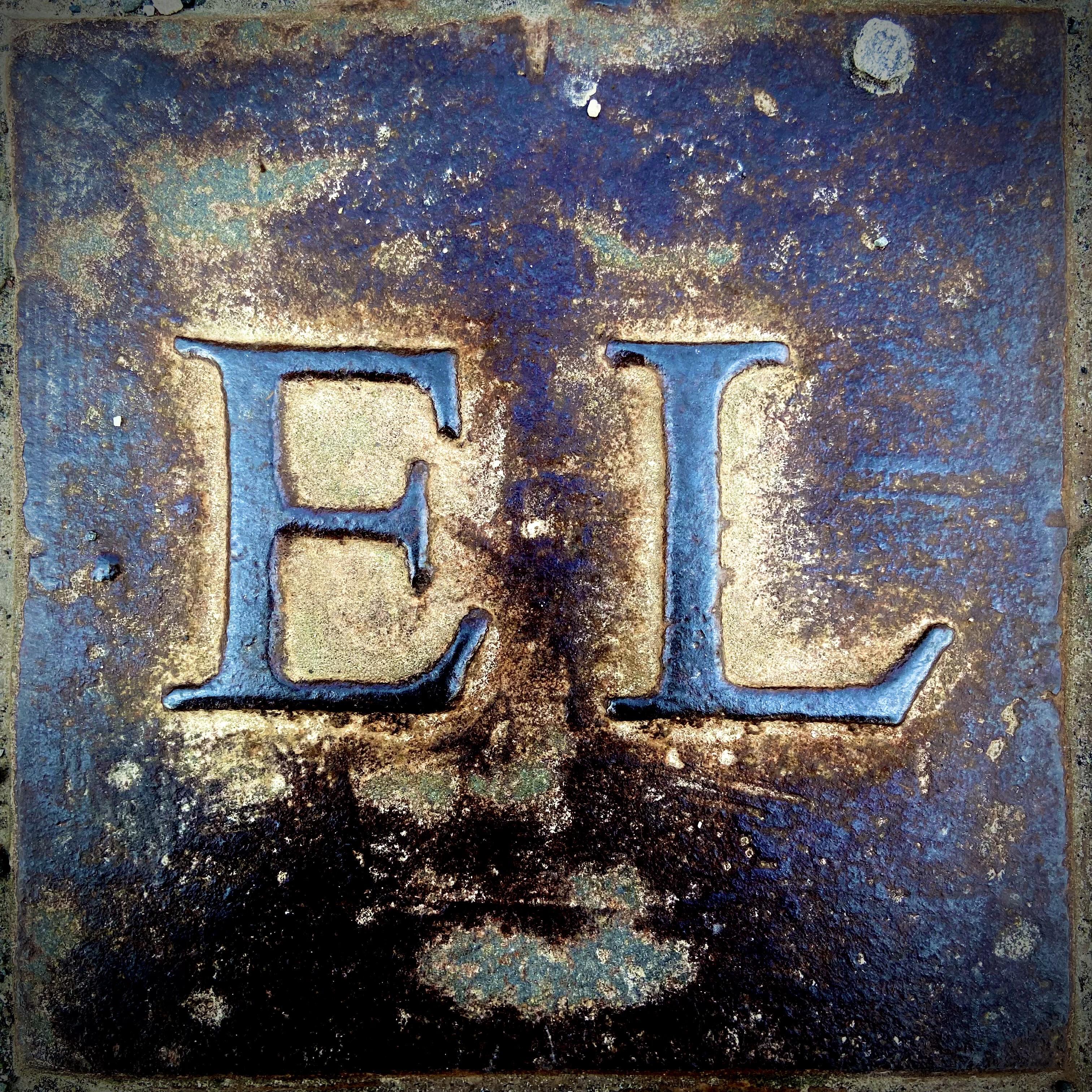 Electrify Love