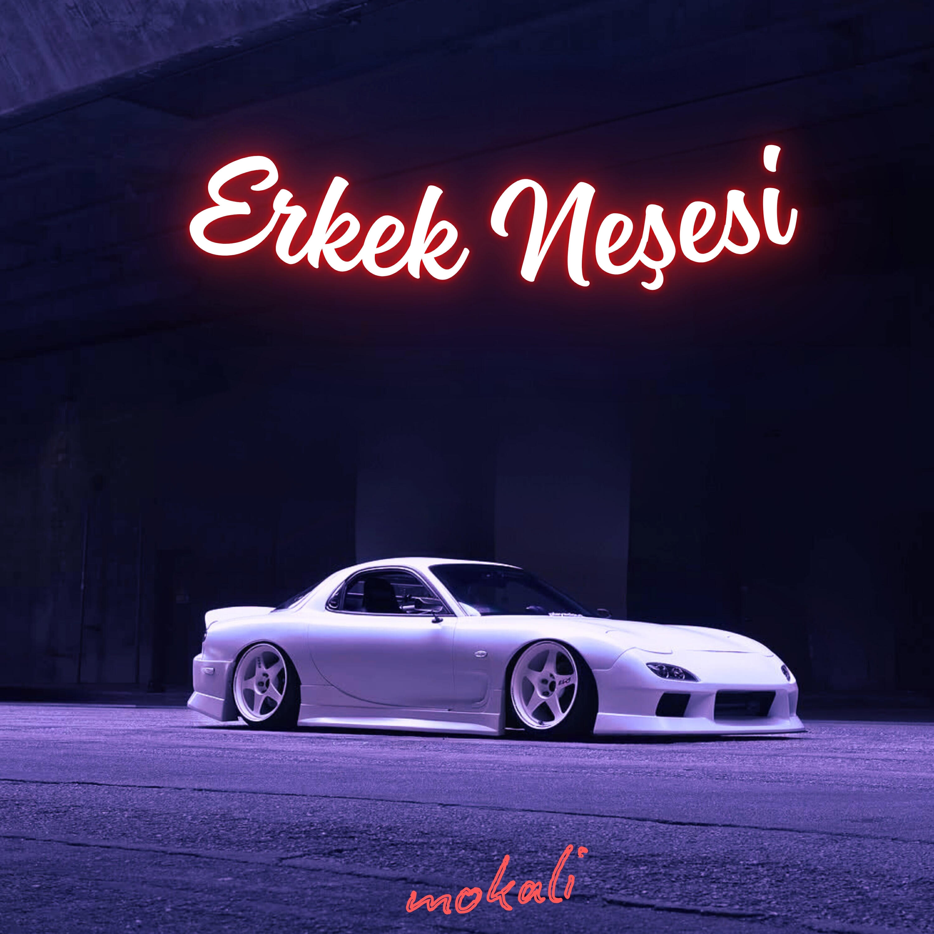 Erkek Neşesi
