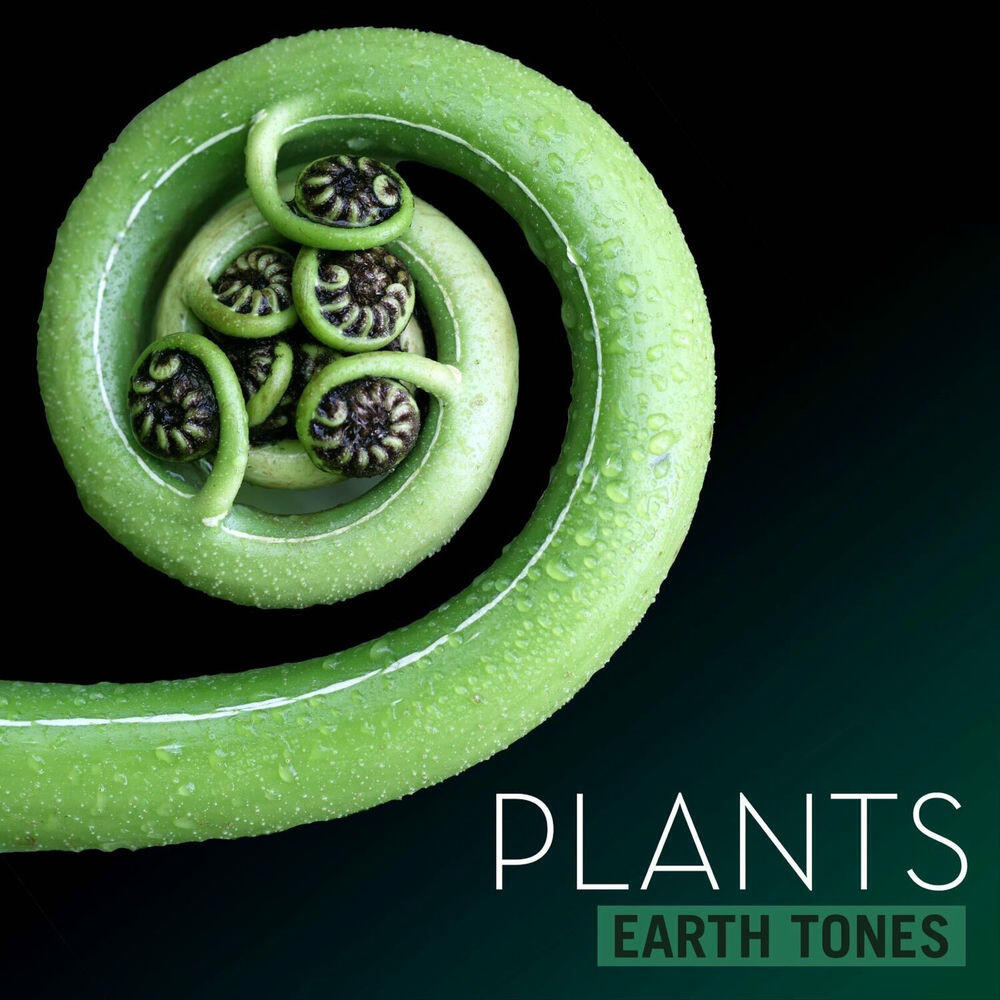 Альбом Earth Tones Plants исполнителя Bleeding Fingers