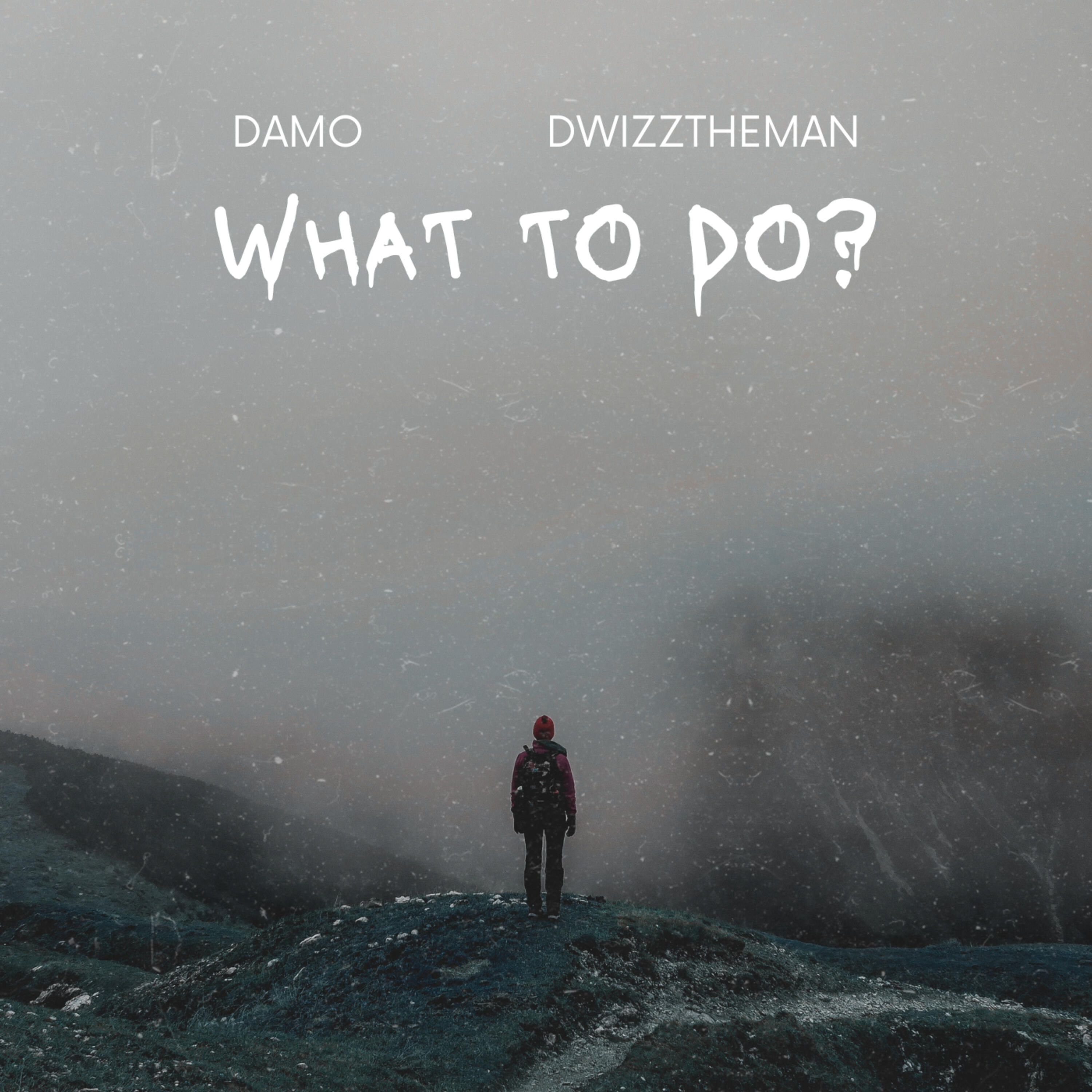 Альбом What to Do? исполнителя Dwizztheman, Damo