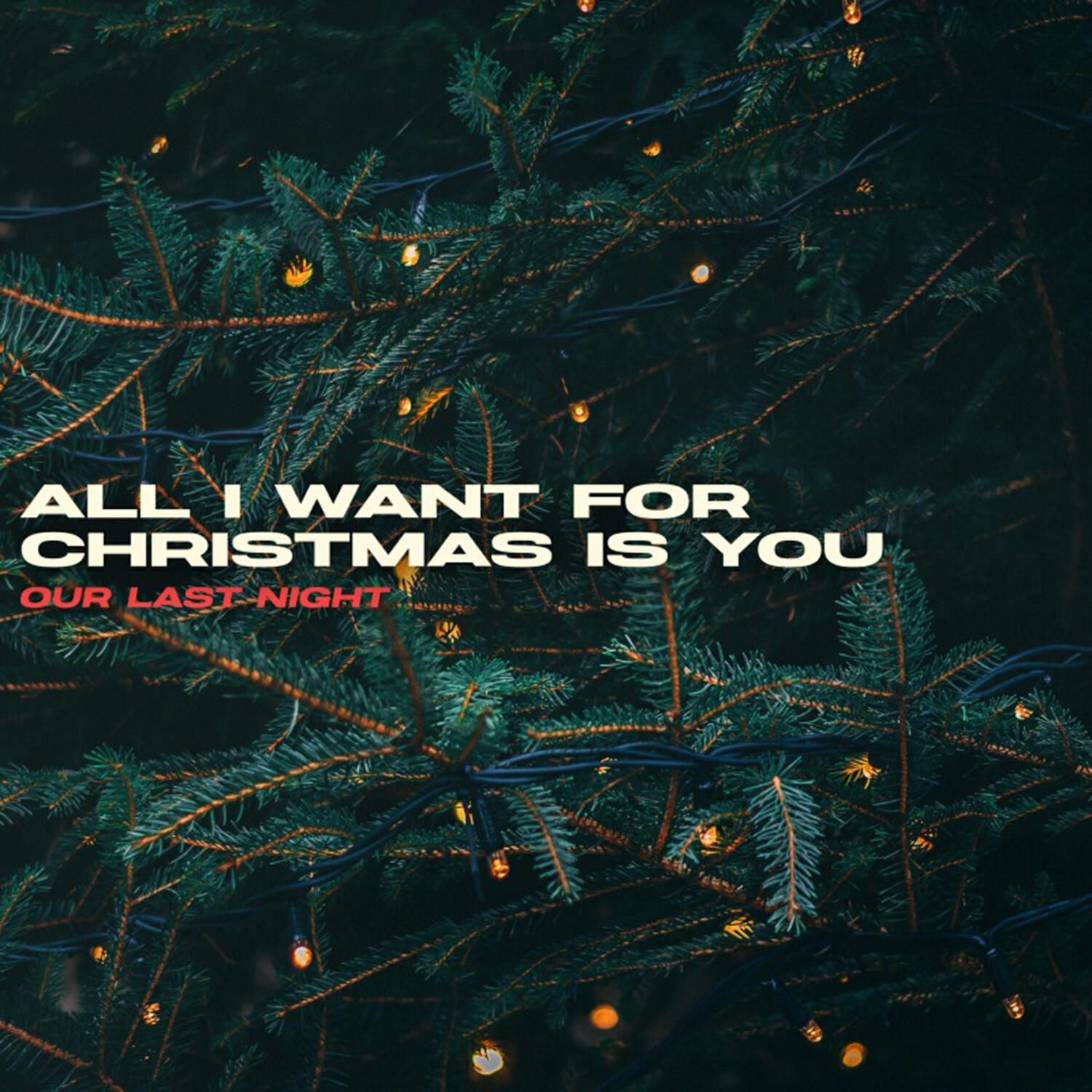 All I Want for Christmas Is You