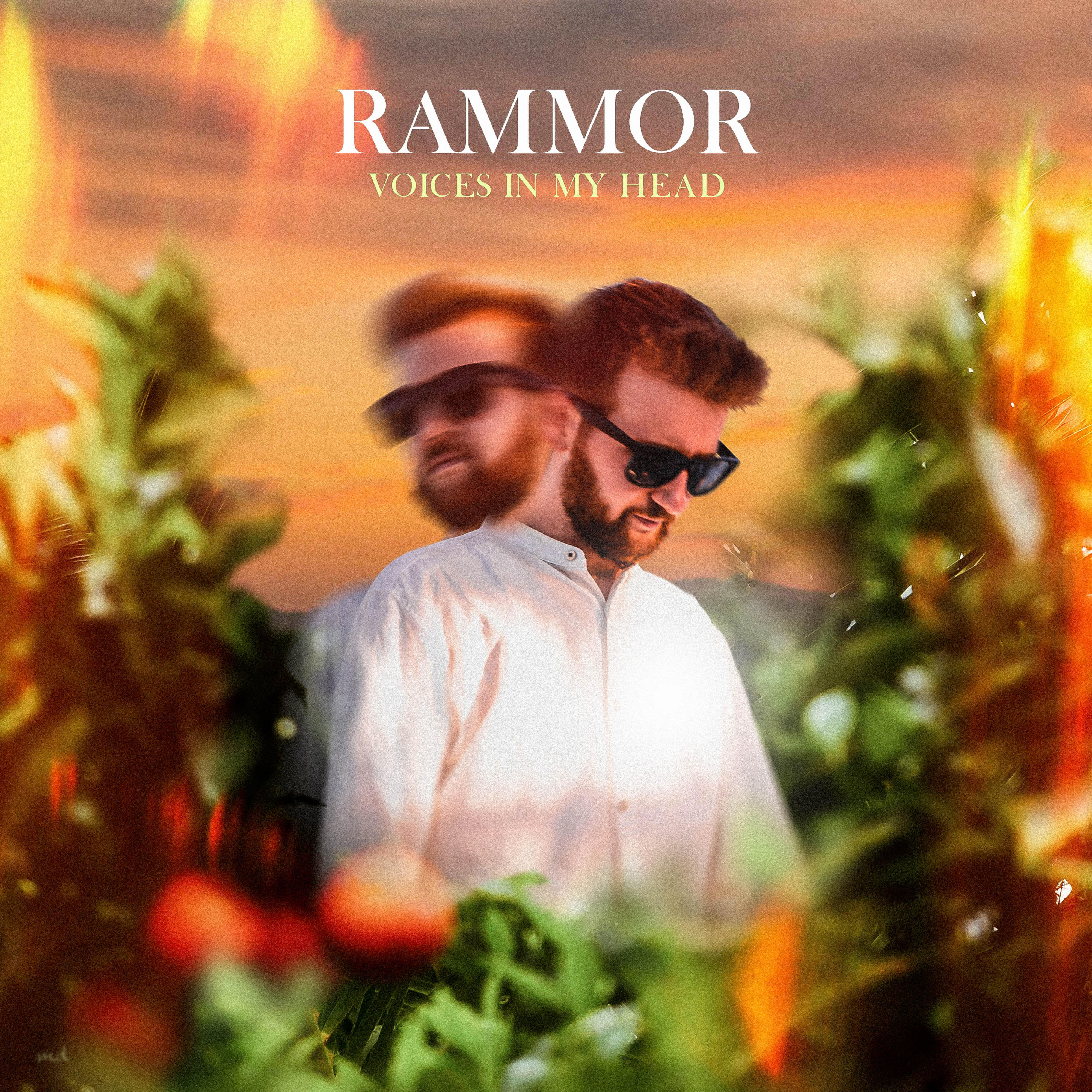 Альбом Voices in My Head исполнителя Rammor