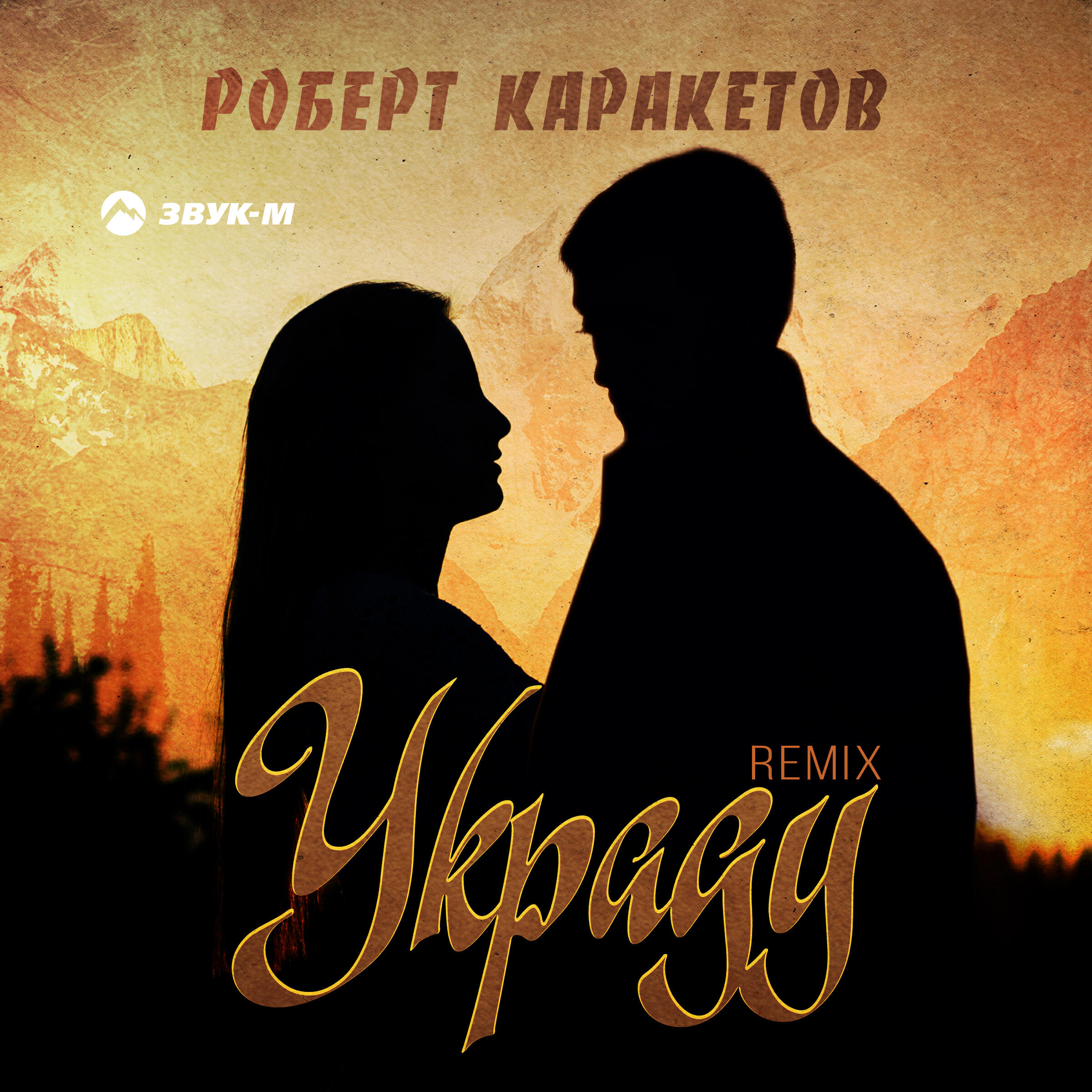 Альбом Украду (Remix) исполнителя Роберт Каракетов