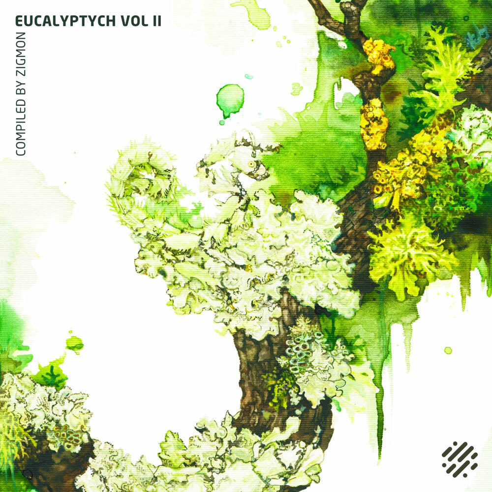 Hope (D-Nox & Beckers Remix)