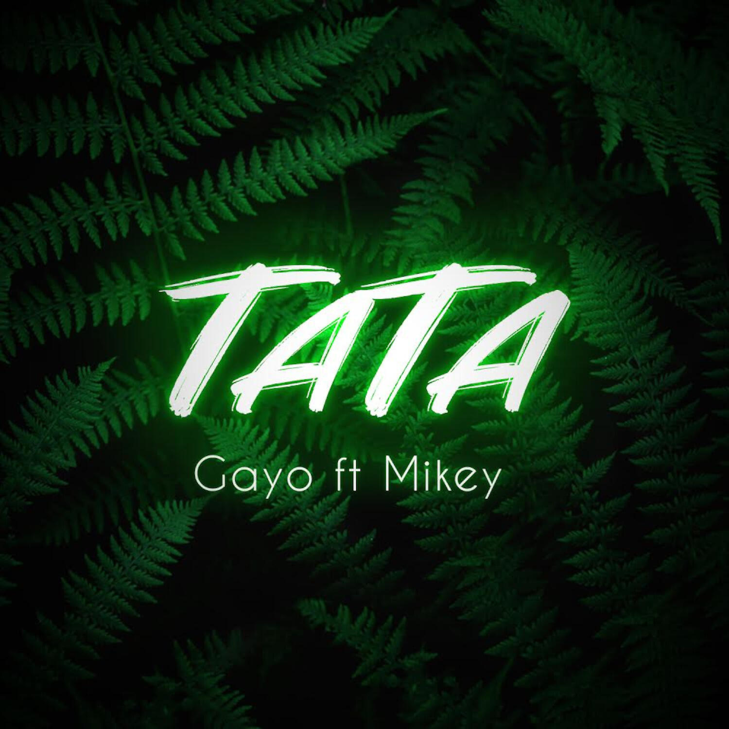 Gayo, MIKEY - Тата (feat. Mikey)