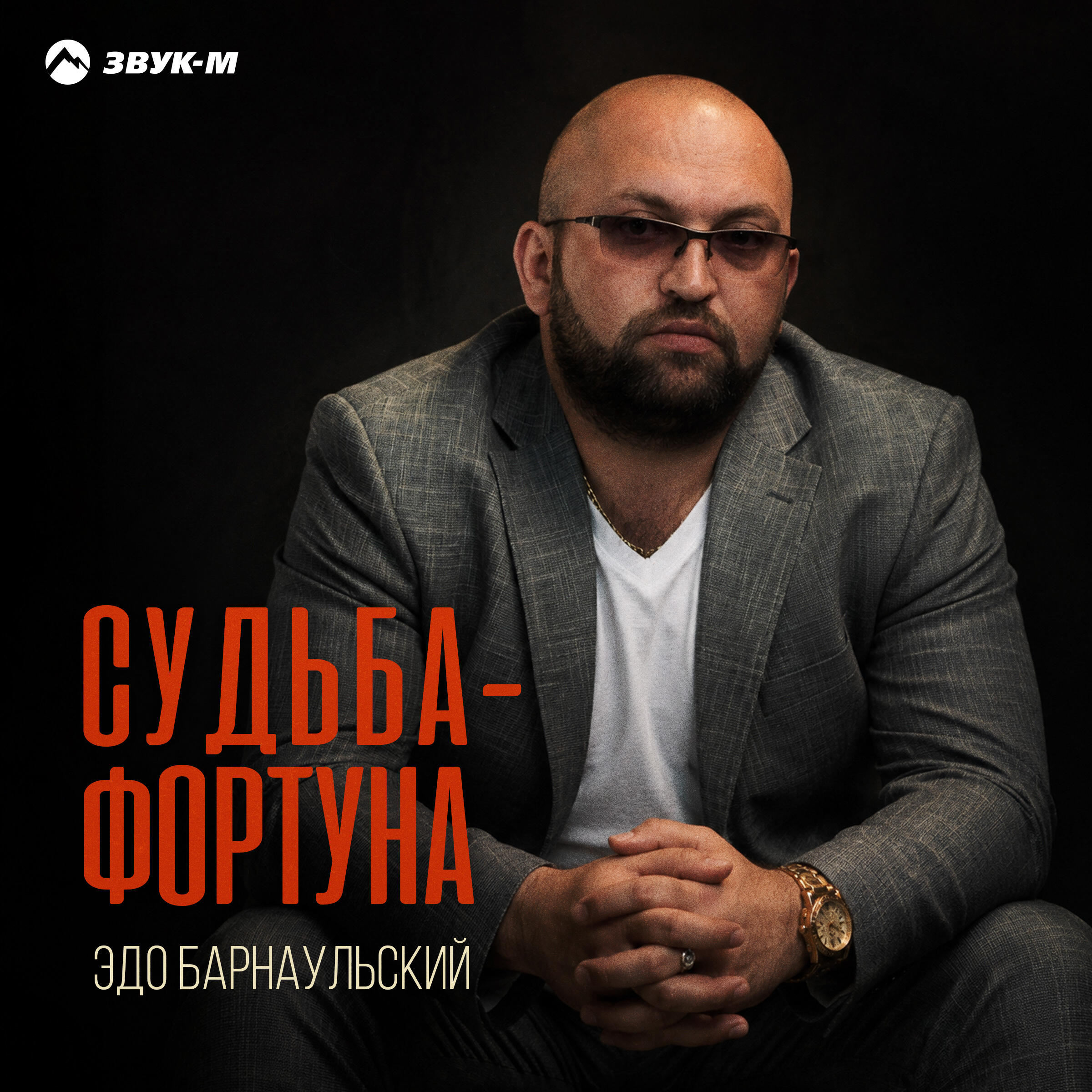 Альбом Судьба-фортуна исполнителя Эдо Барнаульский