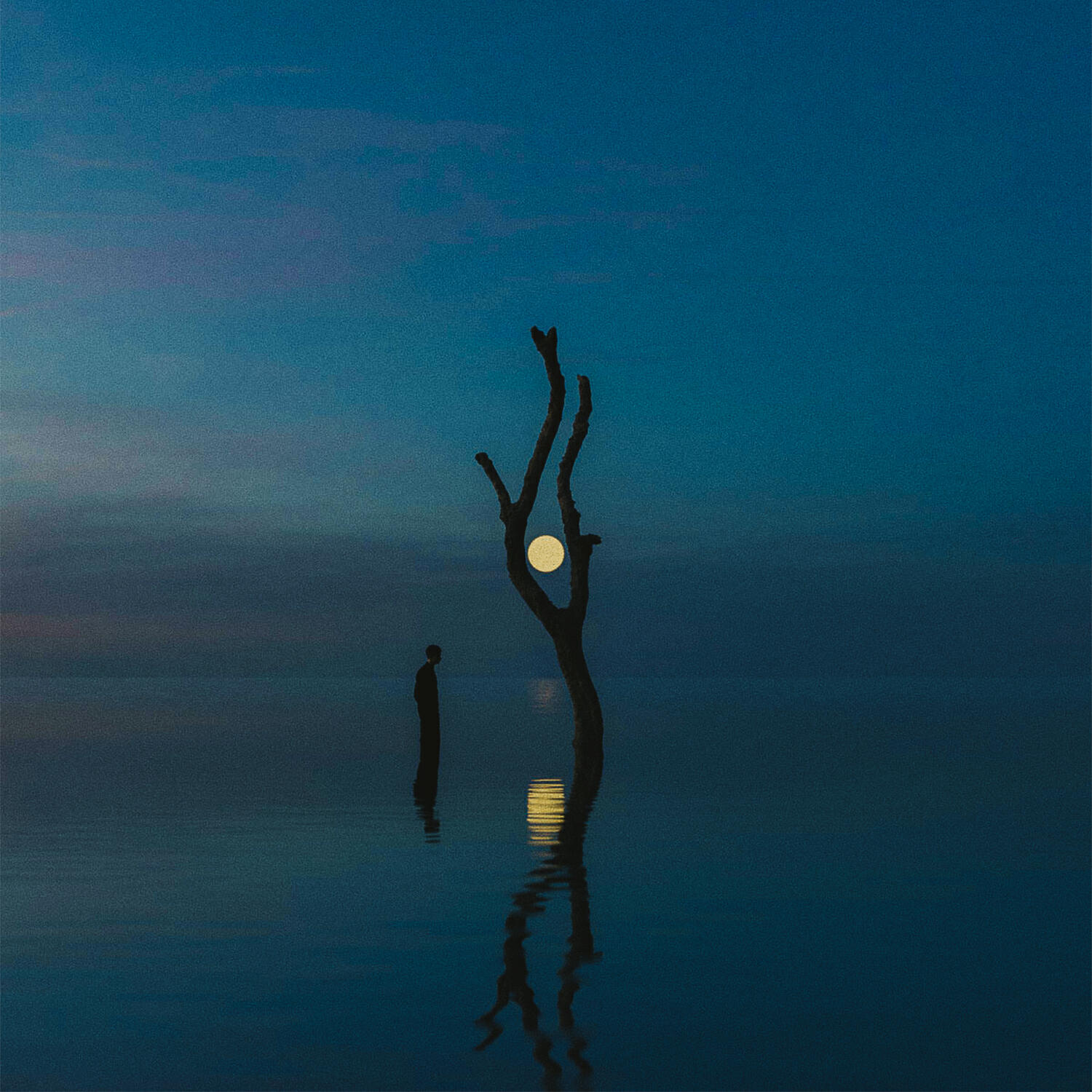 Kim Van Loo