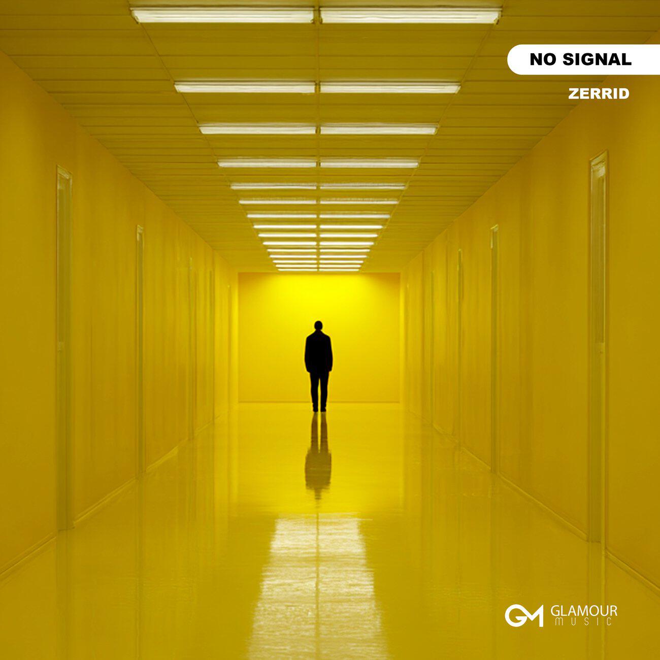 No Signal