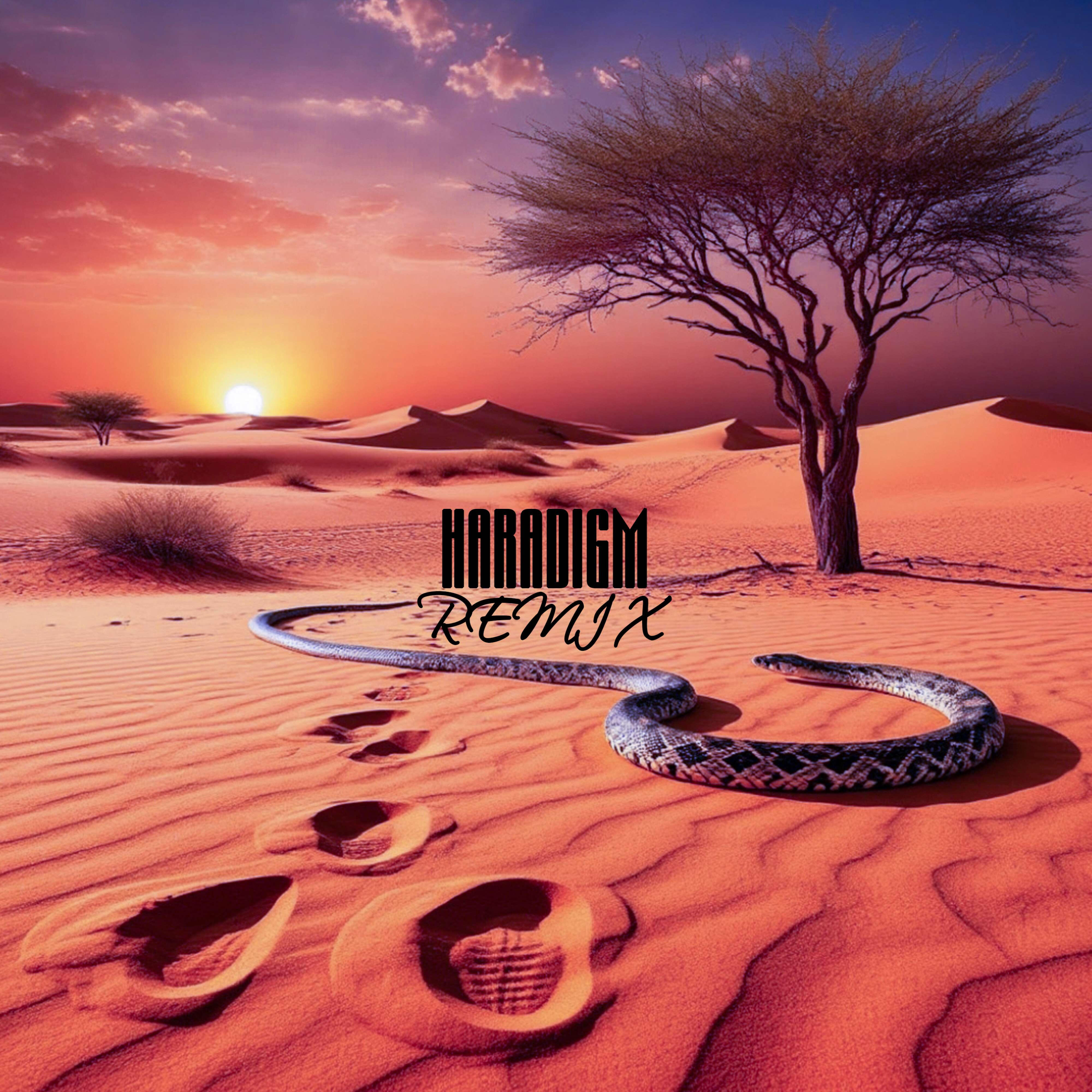 Desert Remix