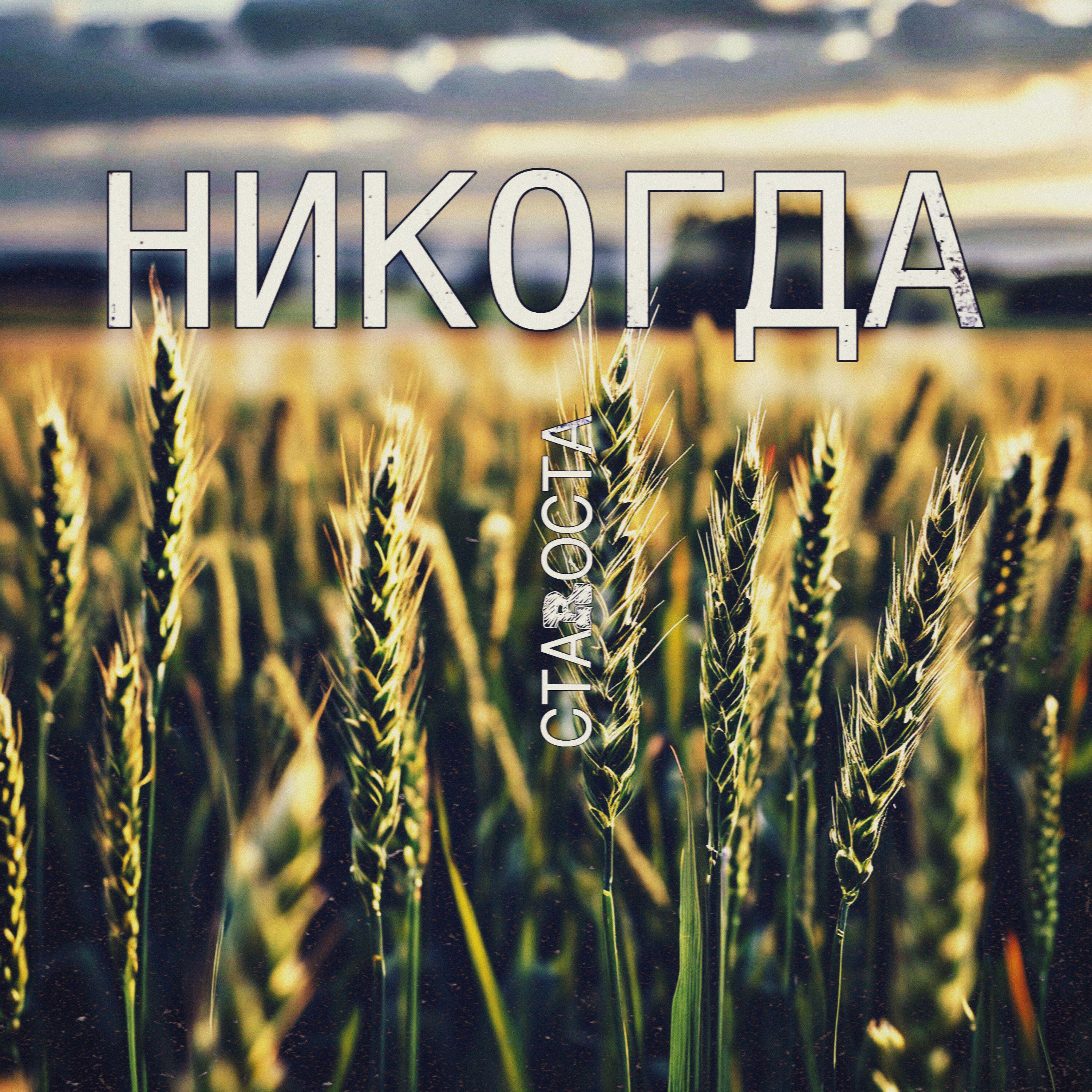 НИКОГДА