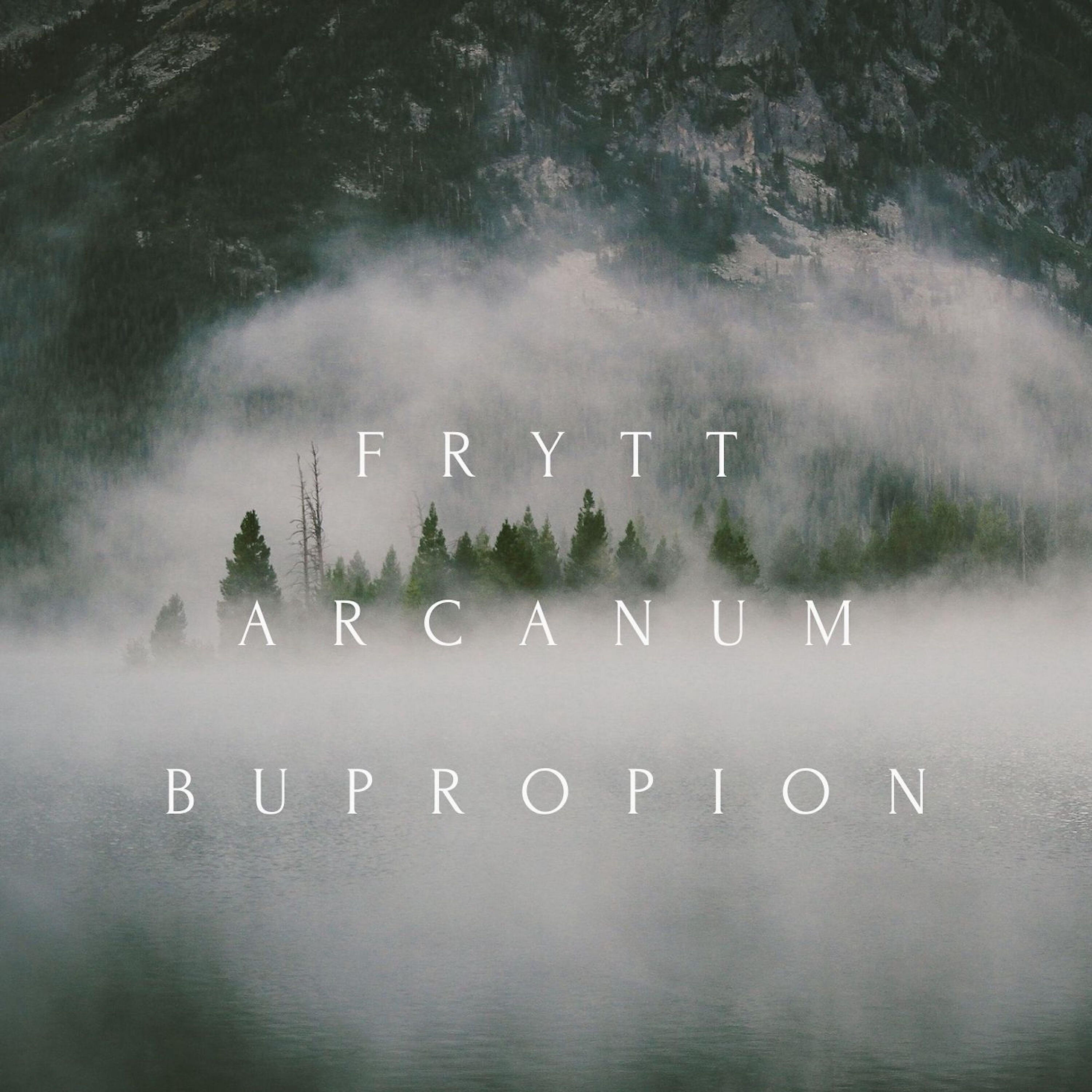 Альбом Bupropion исполнителя Arcanum, Frytt