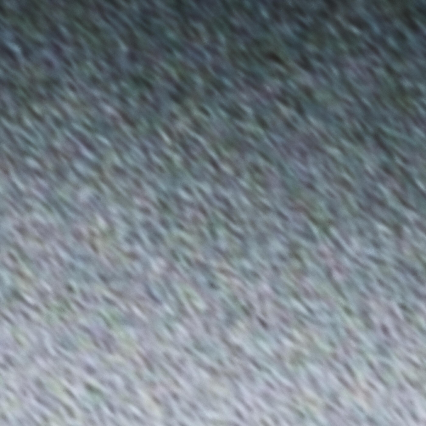 Out of Focus
