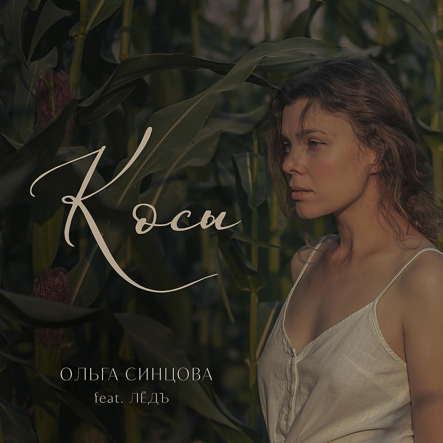 Альбом Косы исполнителя Ольга Синцова, Лёдъ