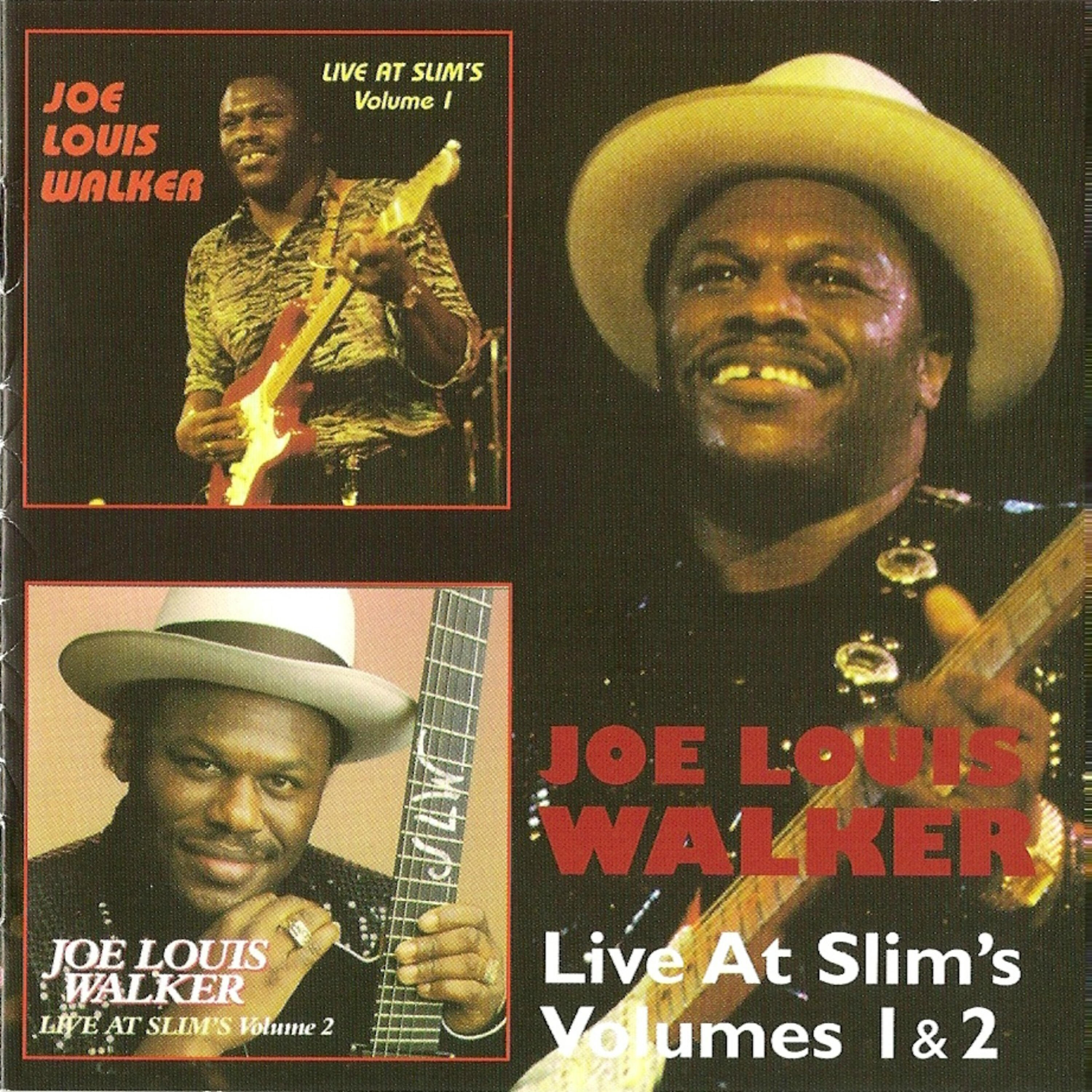 Joe Louis Walker - Love At First Sight (Live)