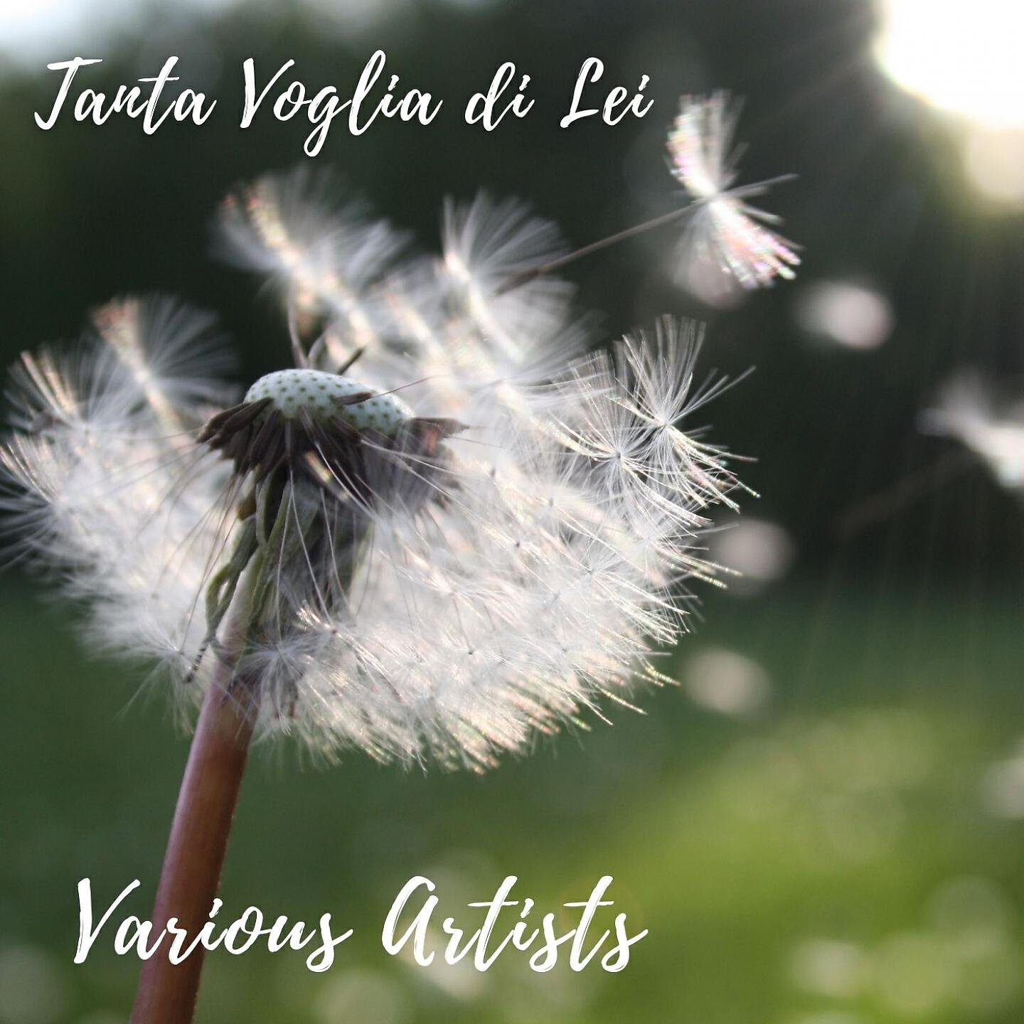 Tanta voglia di lei