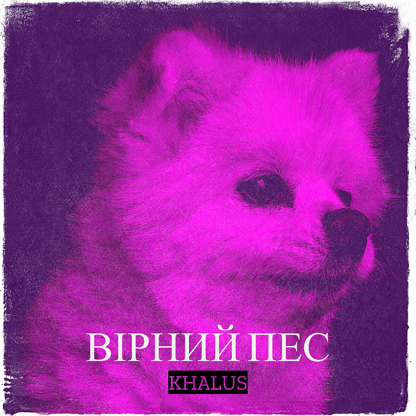 Альбом Вірний пес исполнителя KHALUS