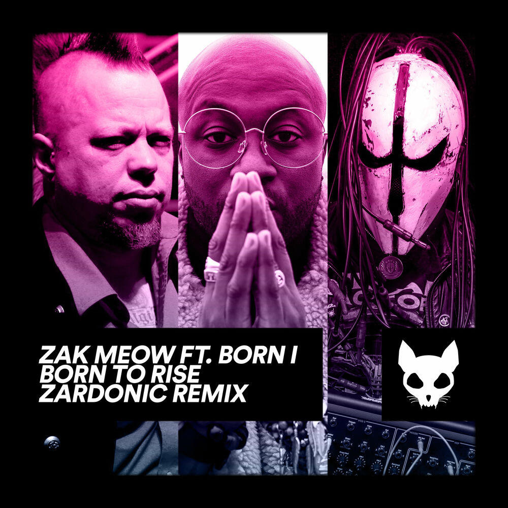 Born To Rise (Zardonic Remix)