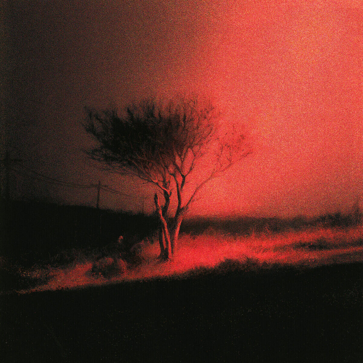 Piss In The Wind (Deluxe)
