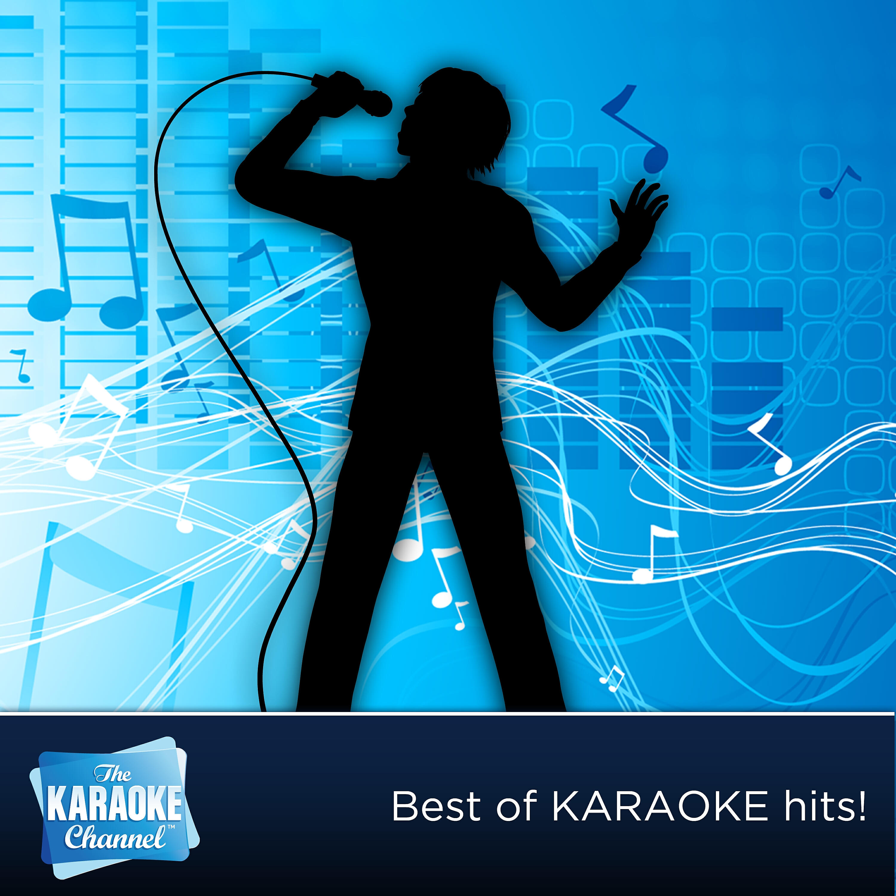 The Karaoke Channel - Karaoke Hits of 1991, Vol. 9