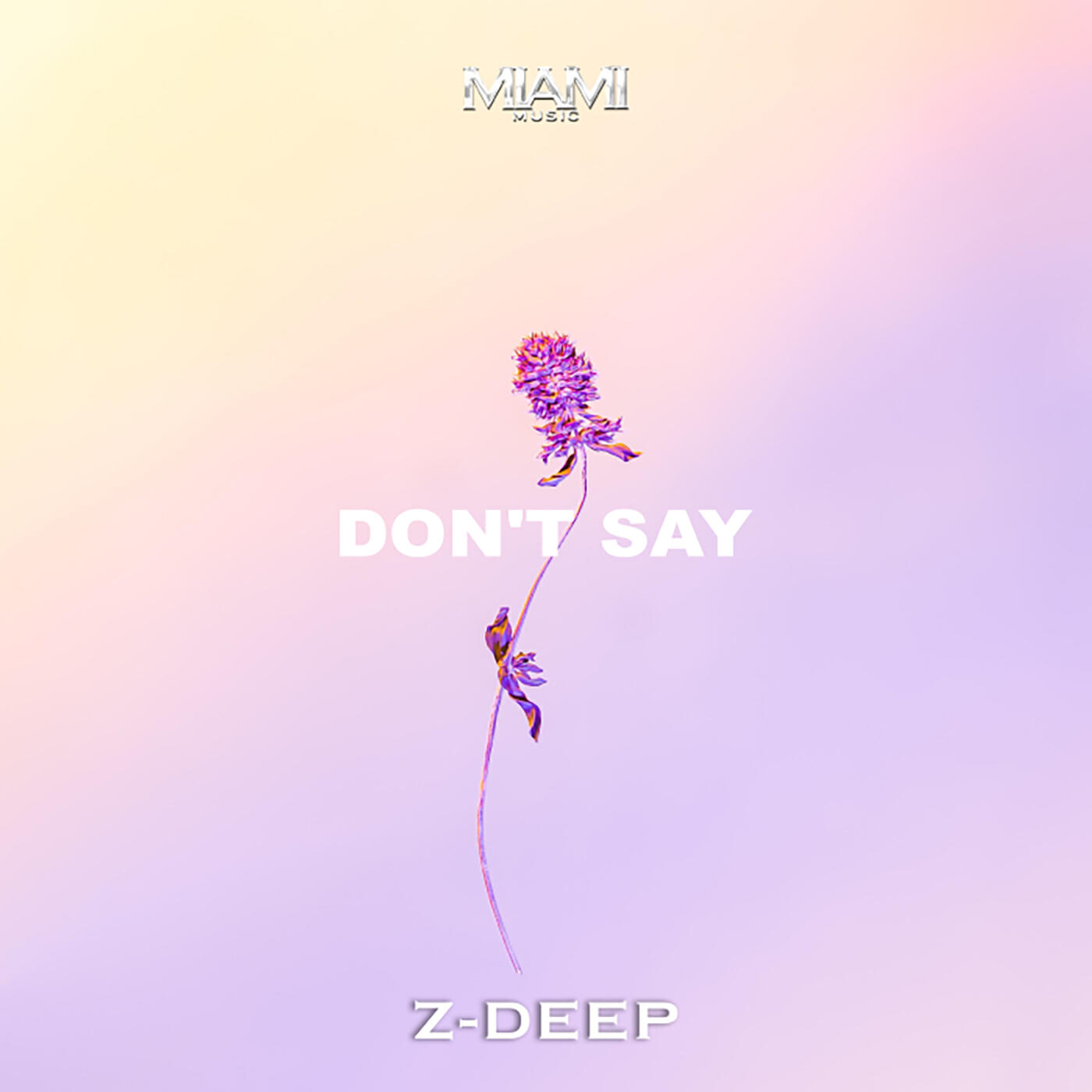 Don't Say