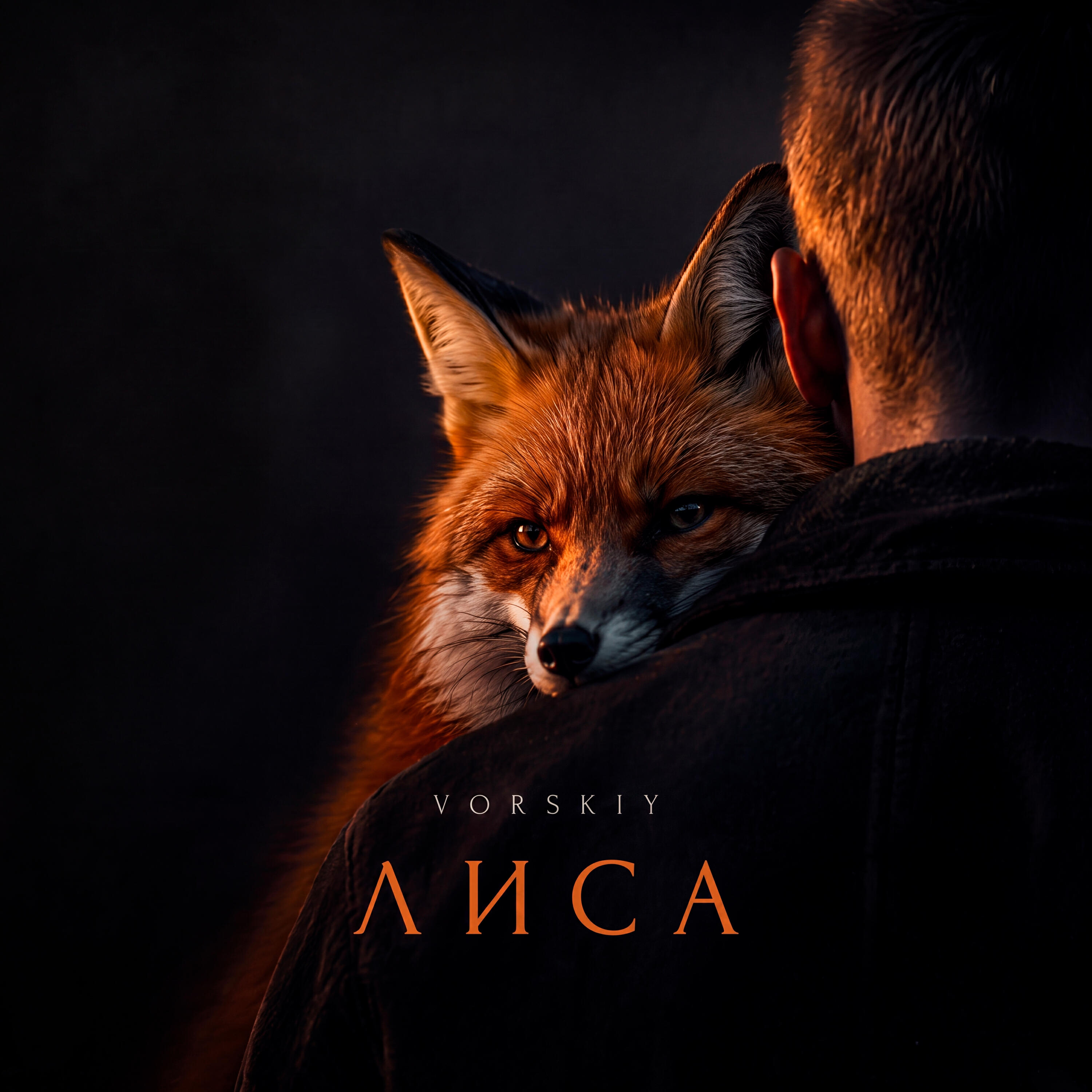 Лиса