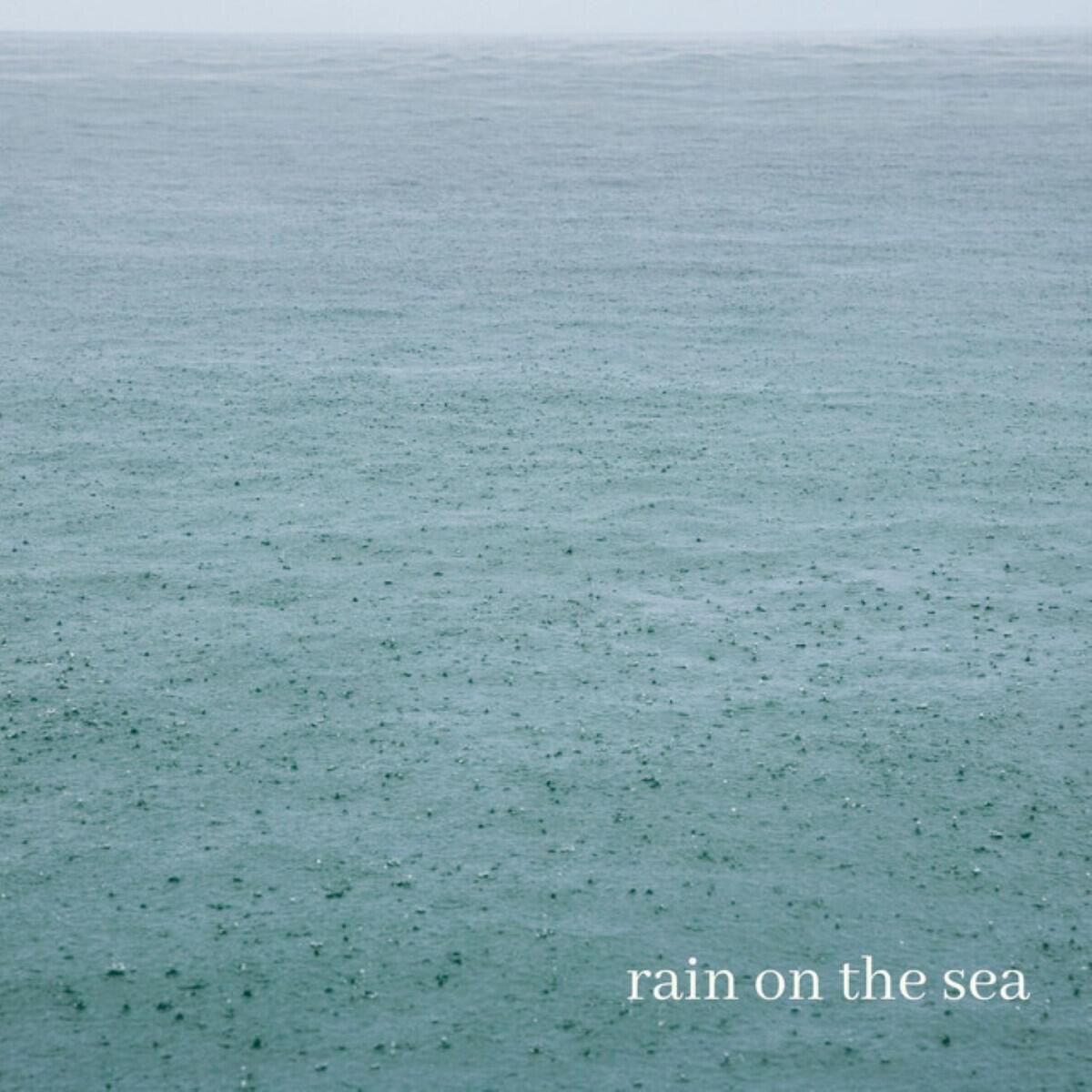 Альбом Rain on the Sea исполнителя Natures Acoustics, Nature Of Sweden, Nature Sounds