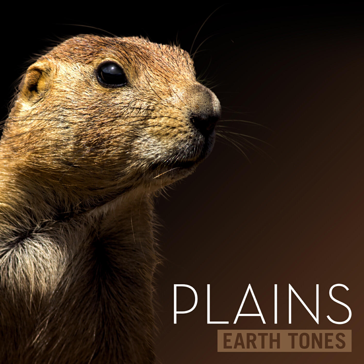 Альбом Earth Tones: Plains исполнителя Bleeding Fingers