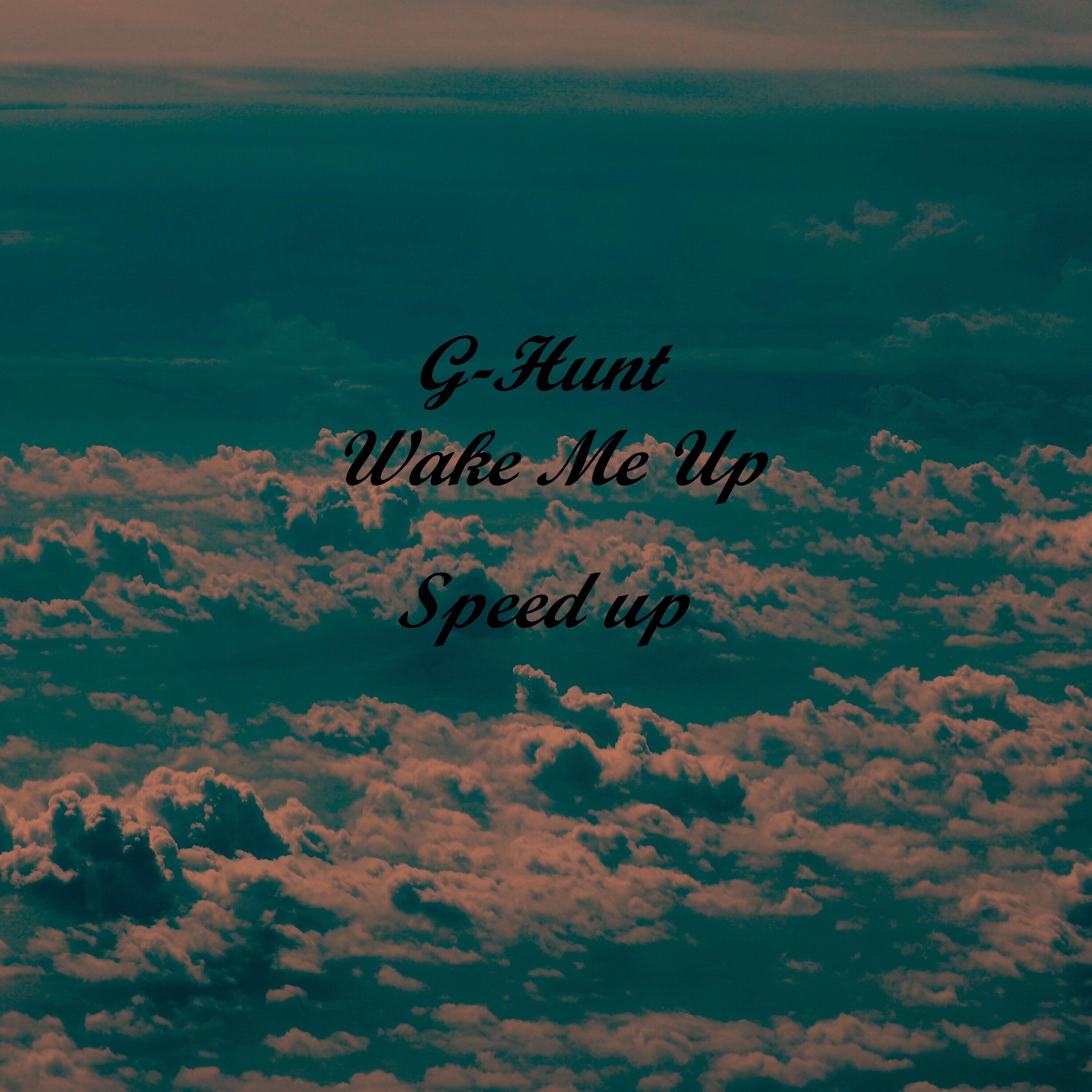 Wake Me Up (Speed Up)