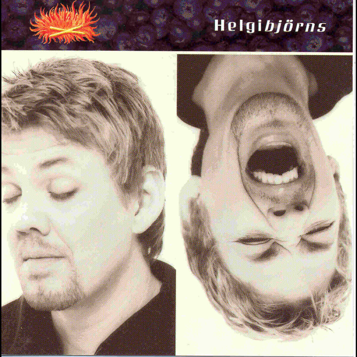 Helgi Björns
