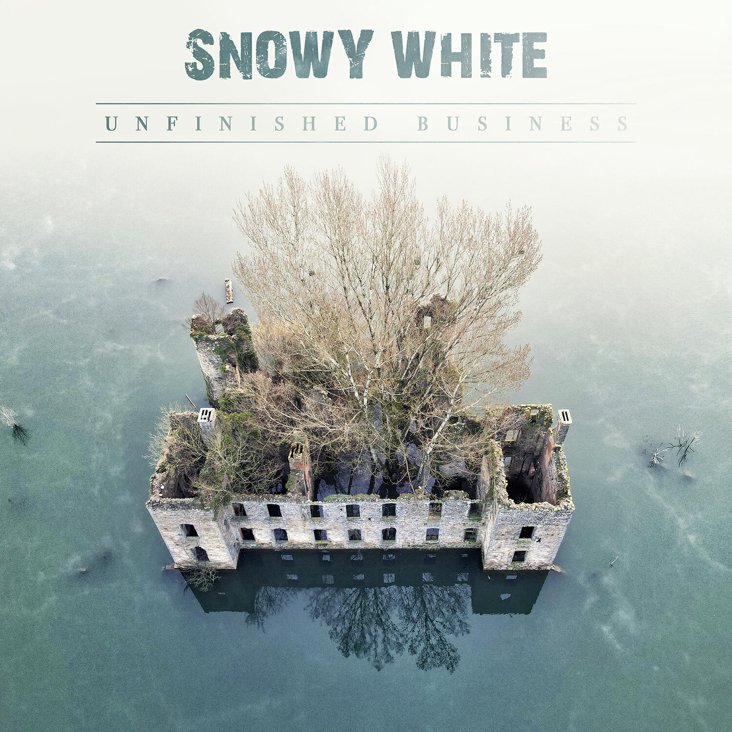 Альбом Unfinished Business исполнителя Snowy White