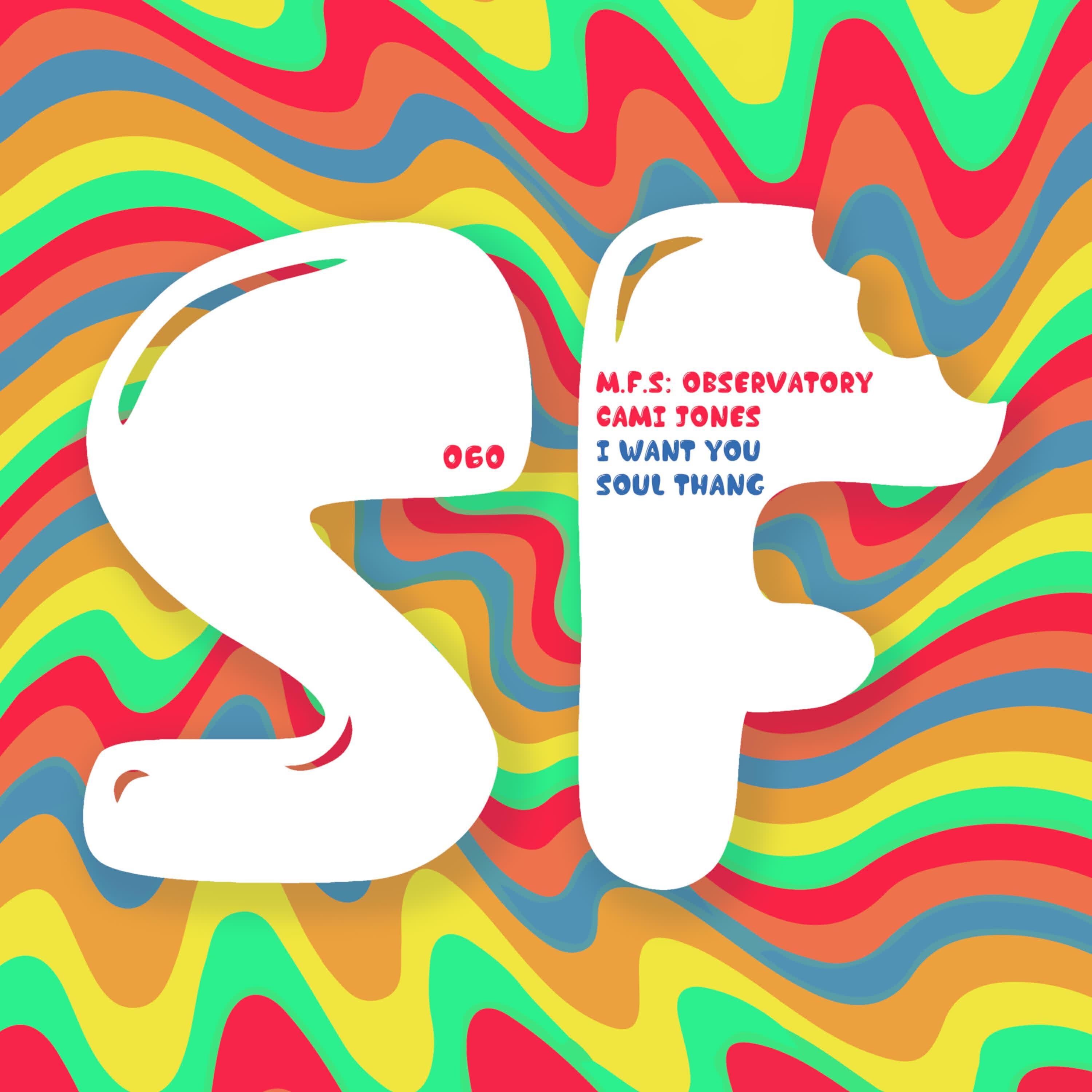 M.F.S: Observatory