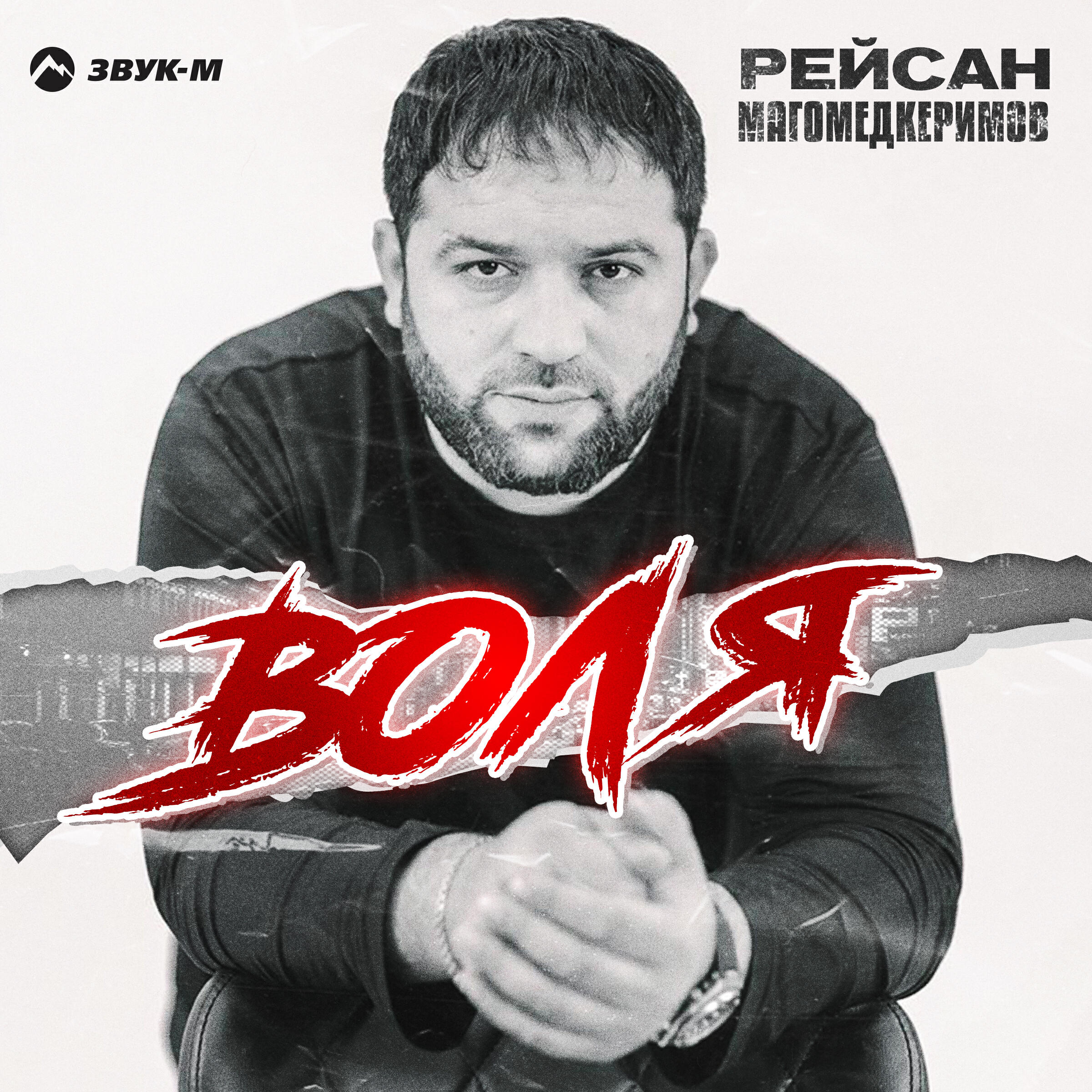 Альбом Воля исполнителя Рейсан Магомедкеримов