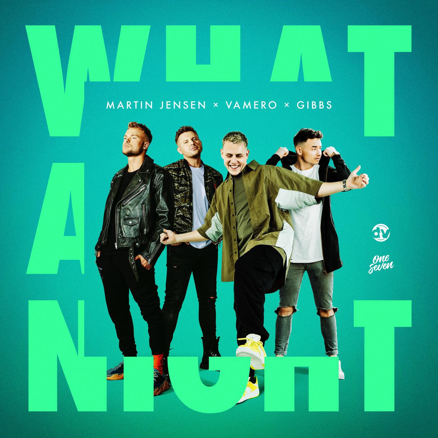 Альбом What A Night исполнителя Martin Jensen, Vamero, Jibbs