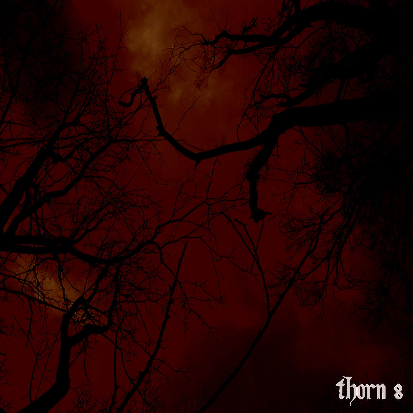 Thorn 8
