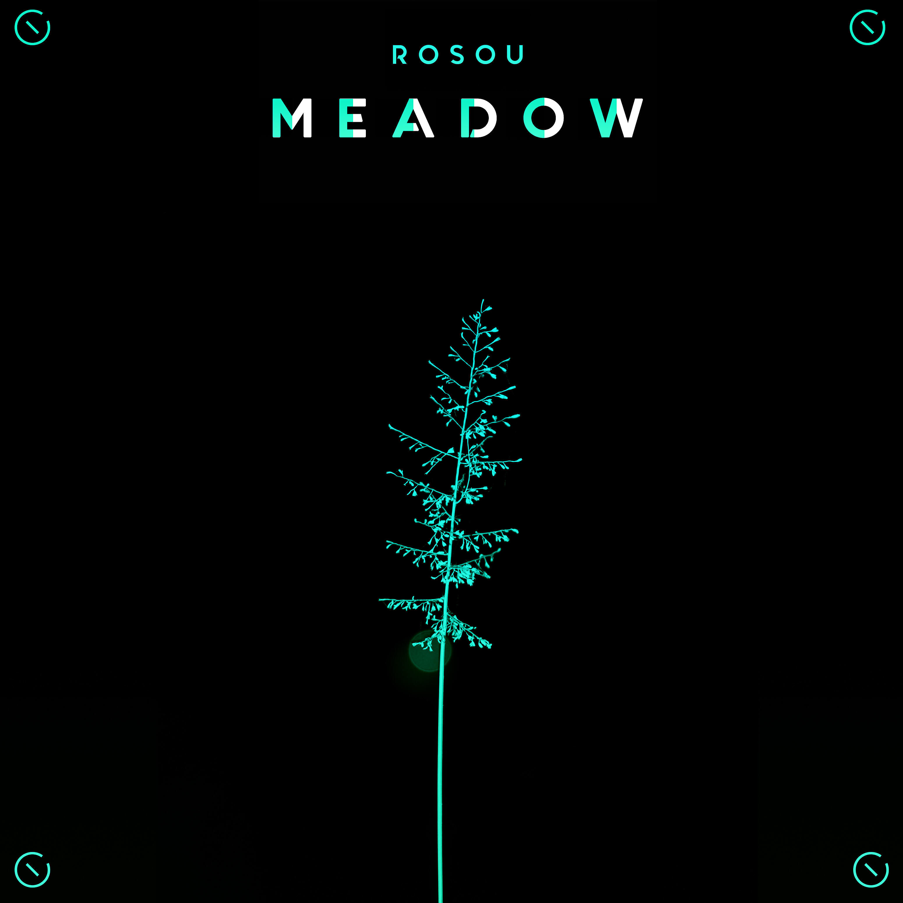 Альбом Meadow исполнителя Rosou