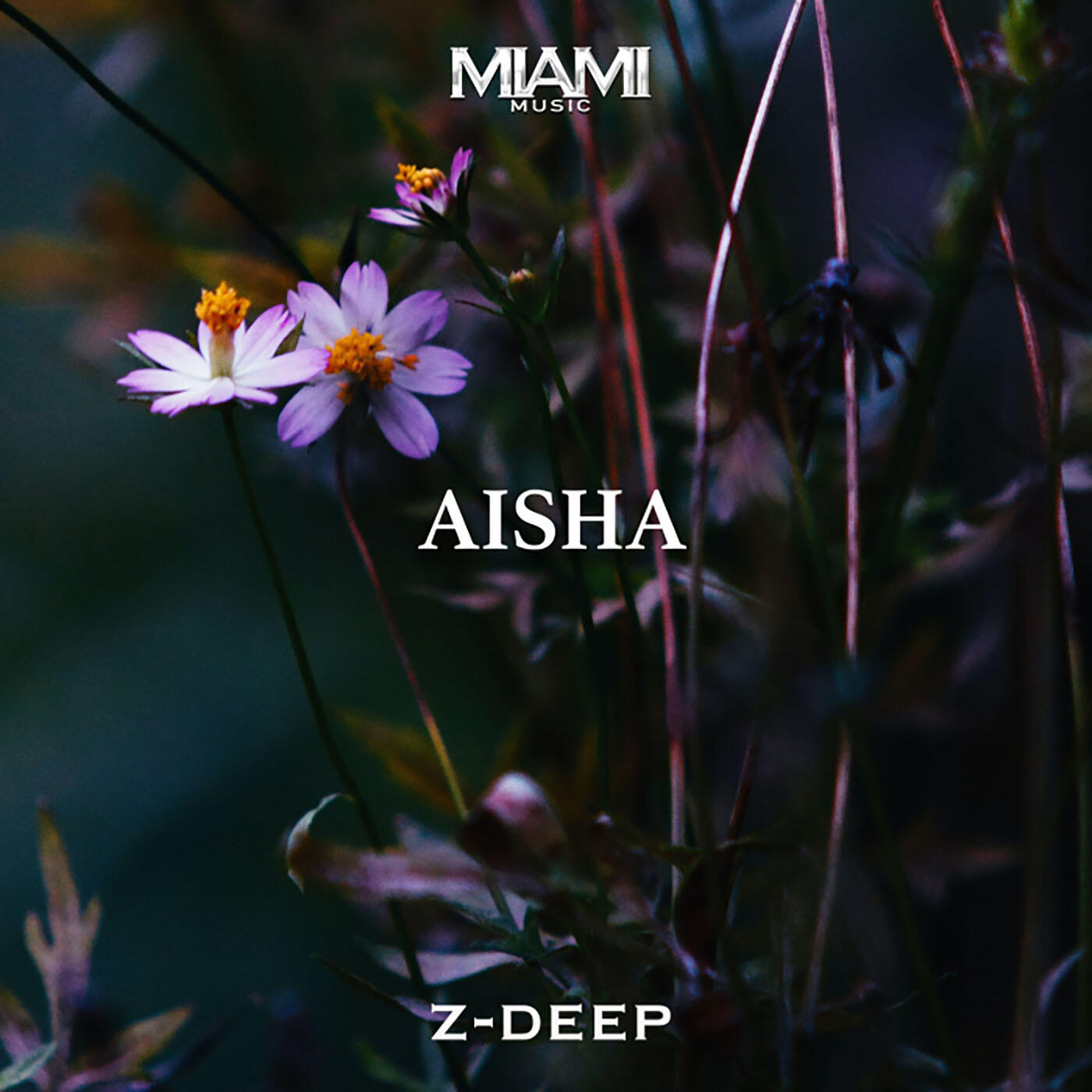 Aisha