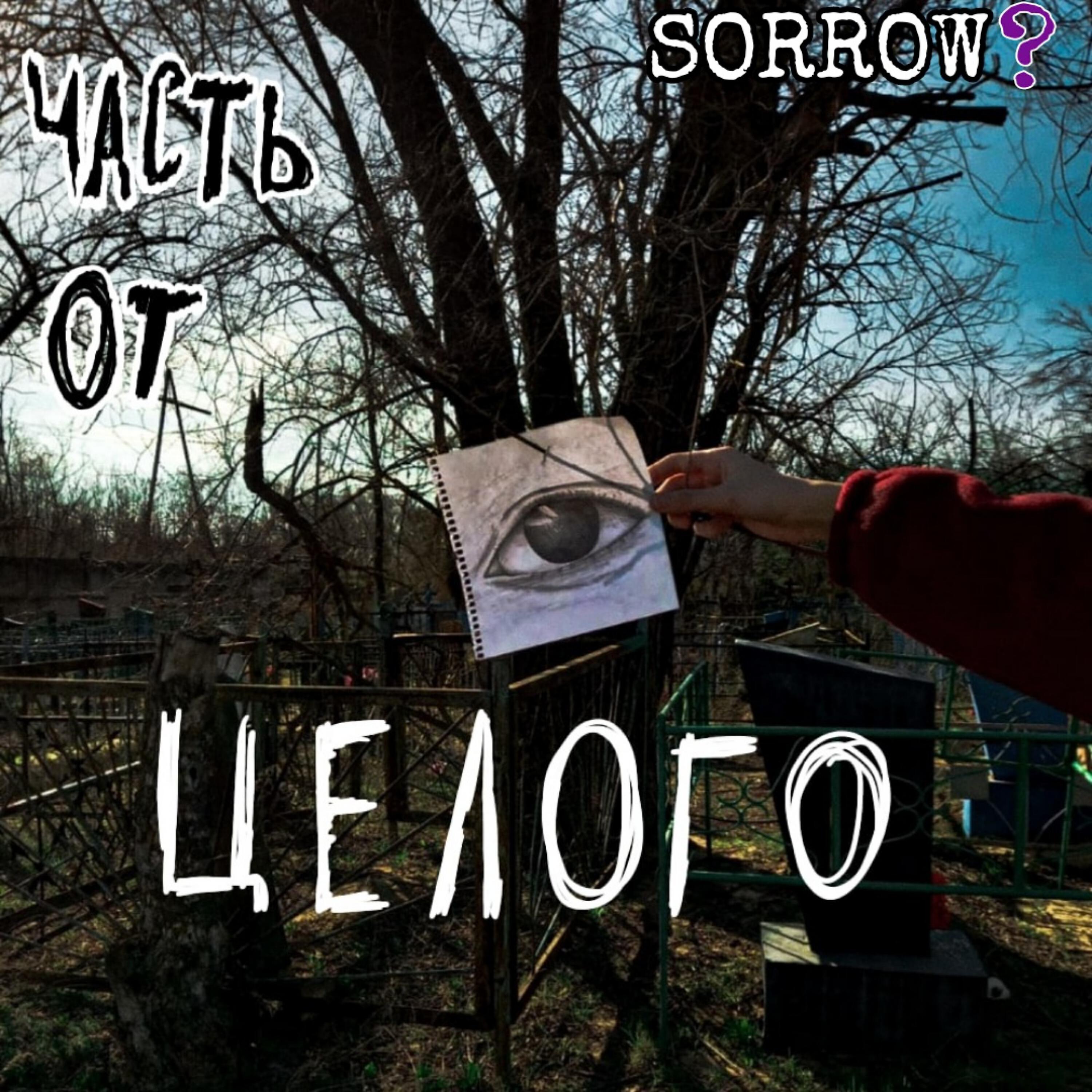Альбом Часть от целого исполнителя SORROW?