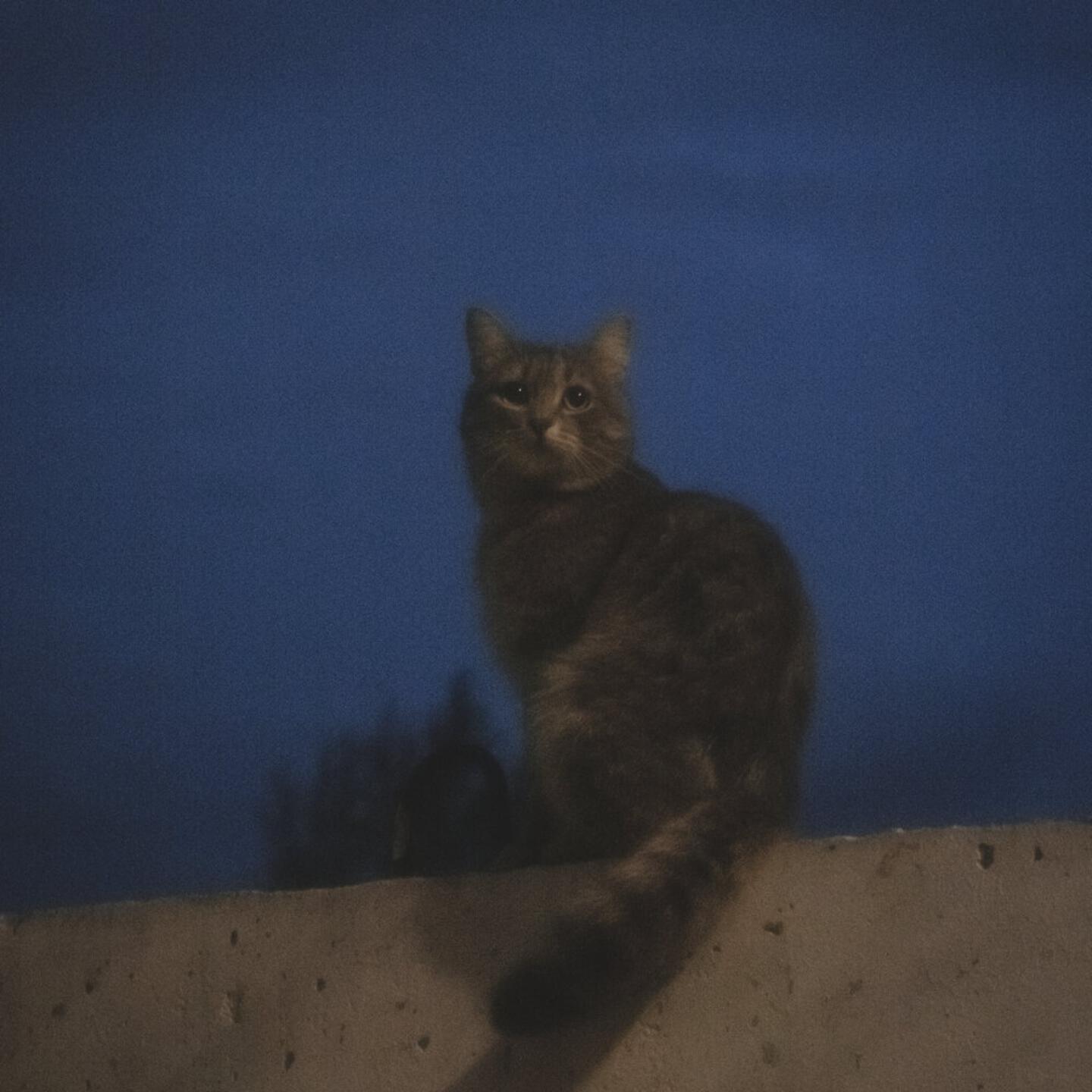 Неуклюжий