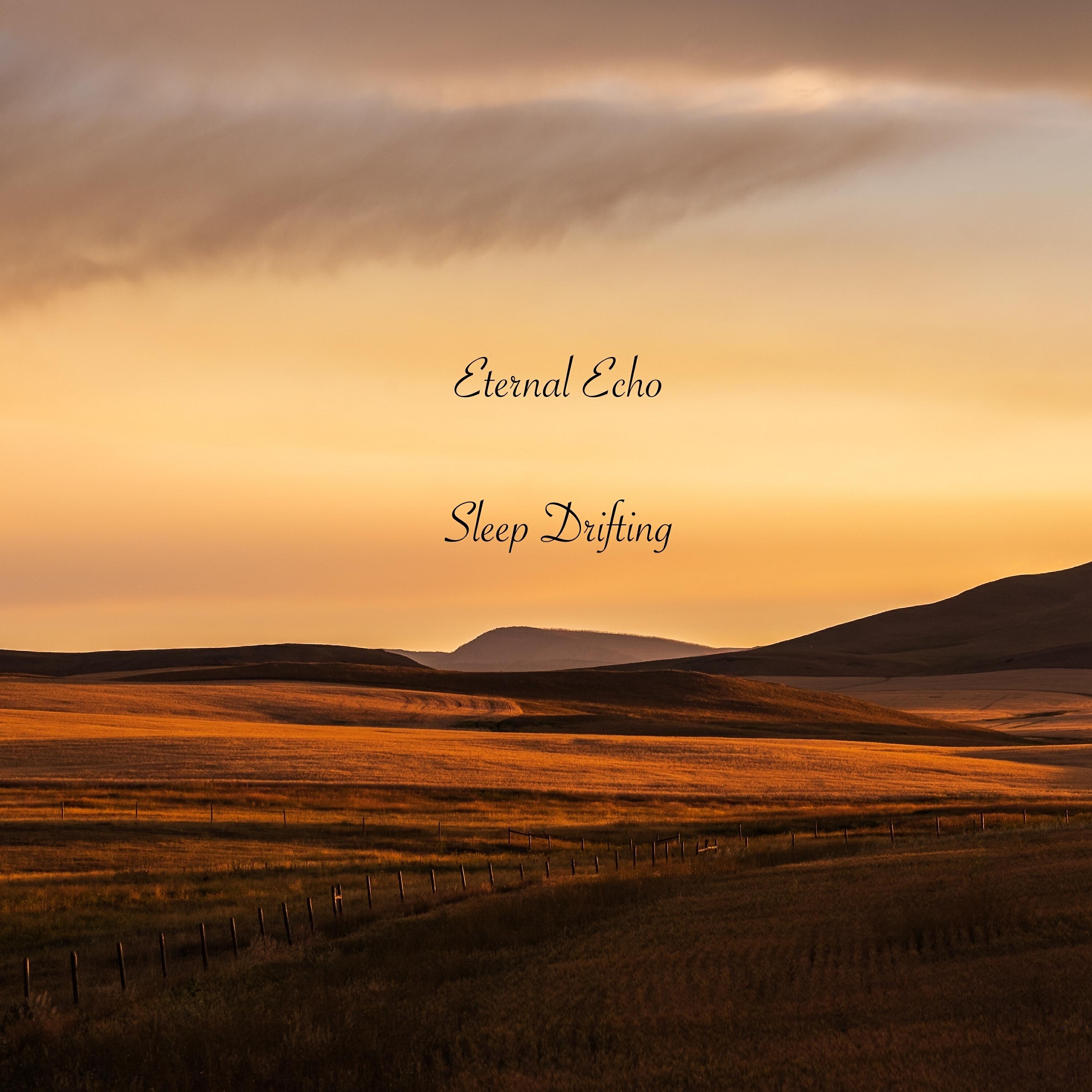 Sleep Drifting