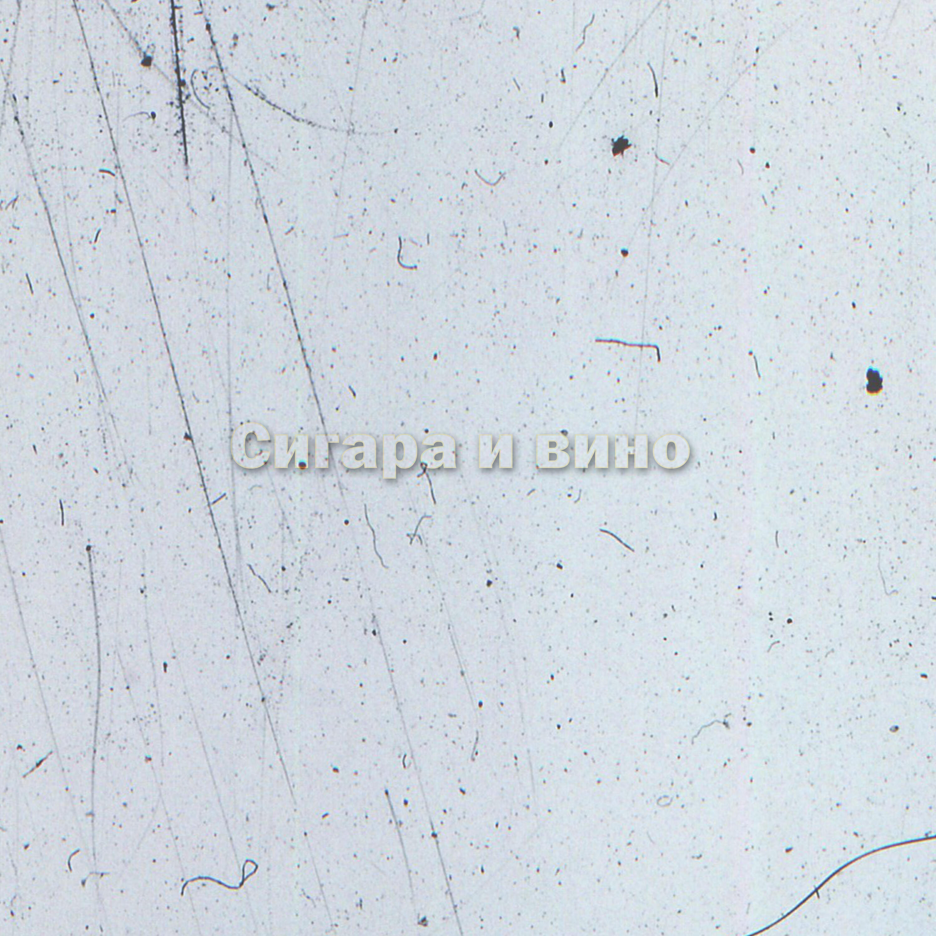 Сигара и вино