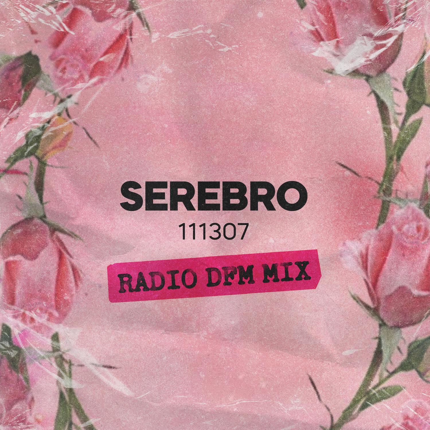 111307 (Radio DFM Mix)