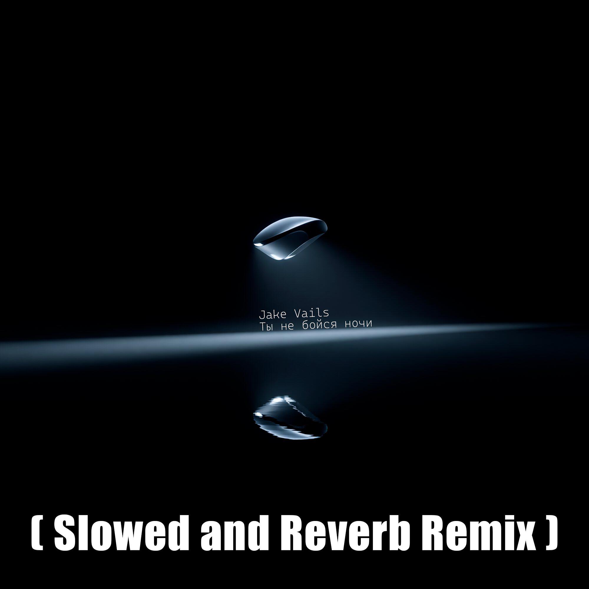Ты не бойся ночи ( Slowed and Reverb Remix )