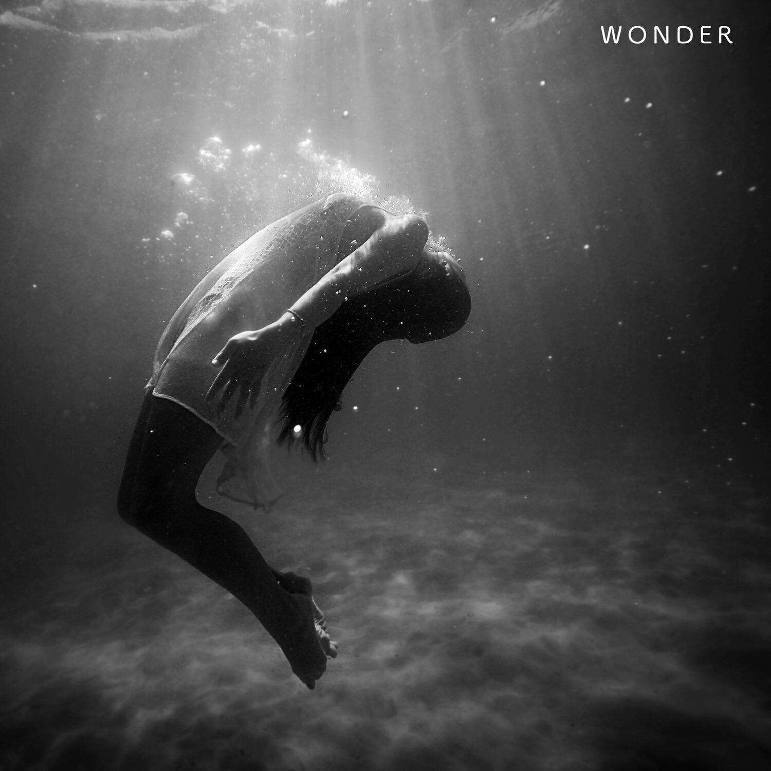 Альбом Wonder исполнителя Laura Brehm, Nikonn