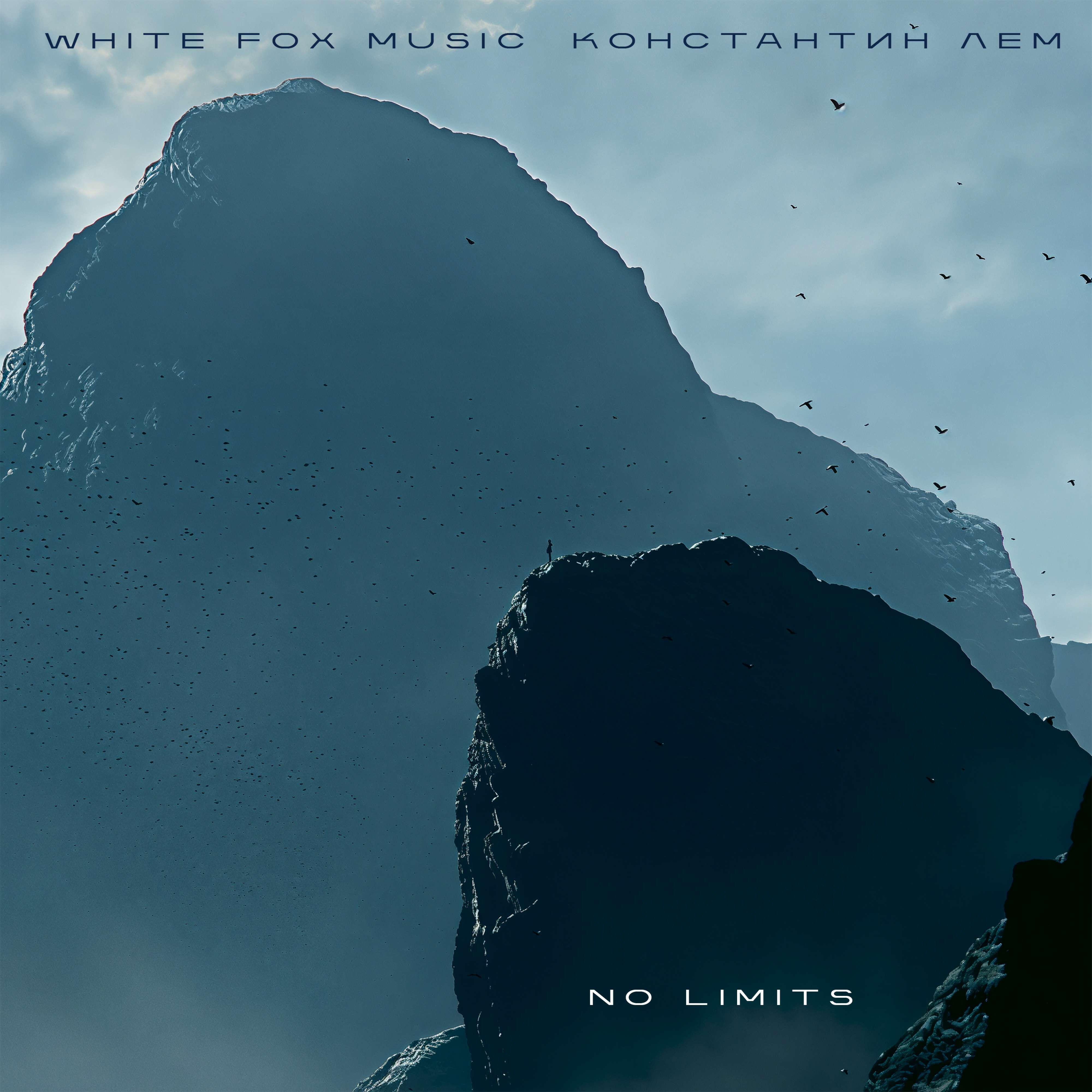 Альбом No limits исполнителя White Fox Music, Константин ЛЕМ