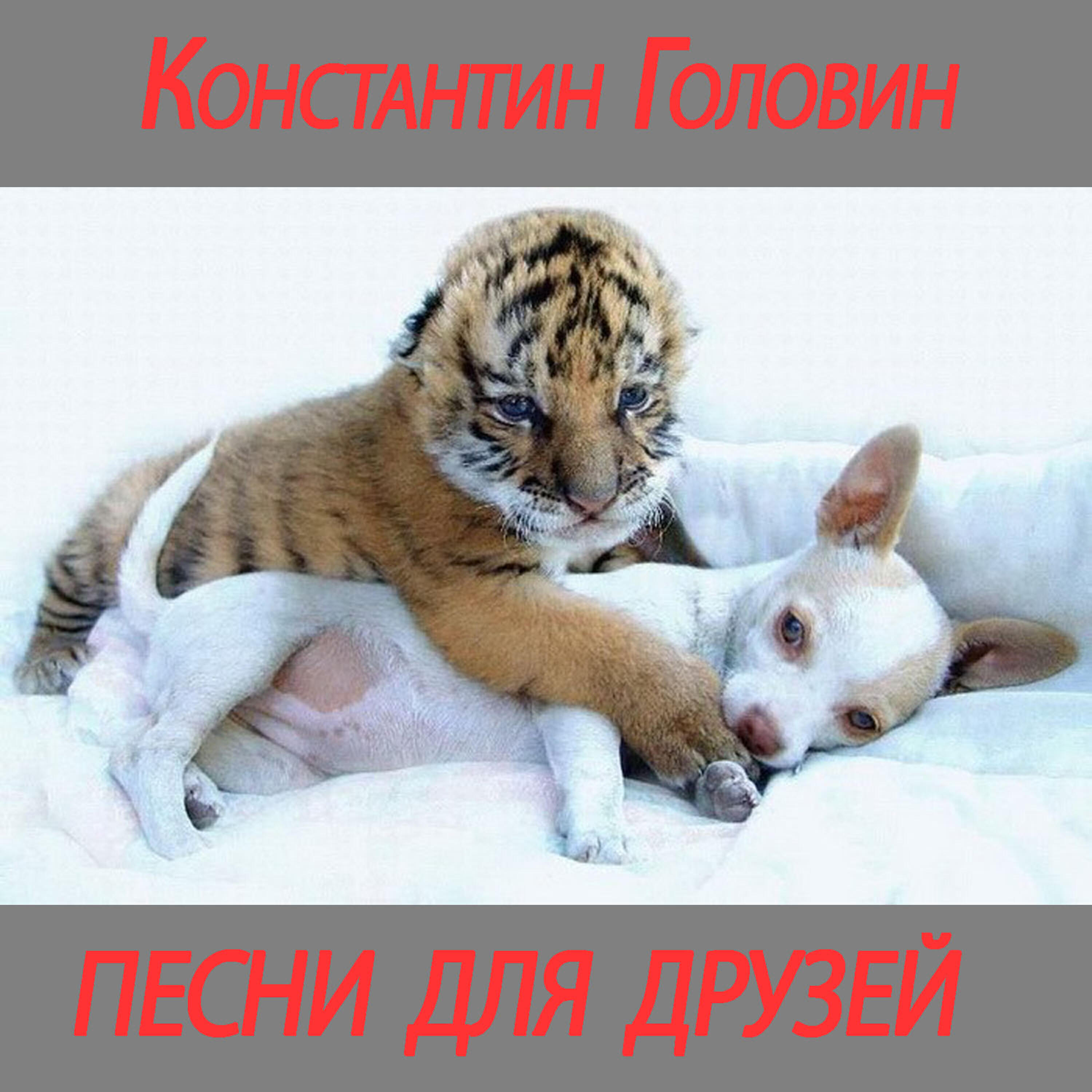 Альбом Songs for friends исполнителя Konstantin Golovin