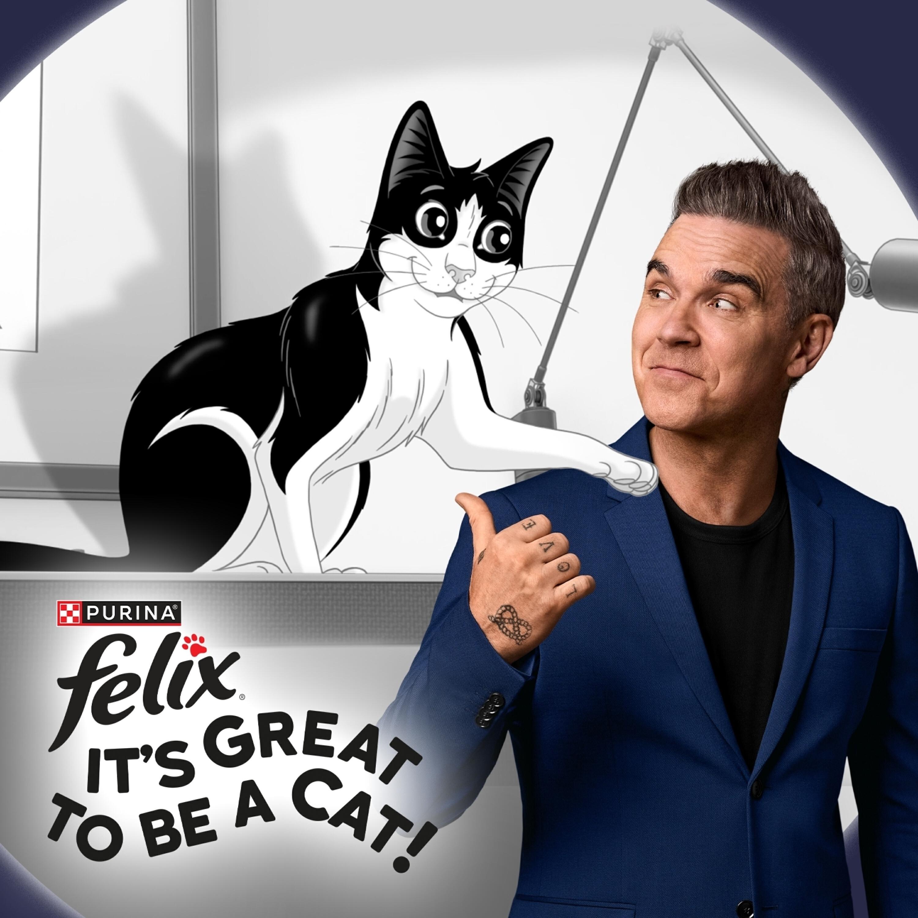 It's Great To Be A Cat 2025