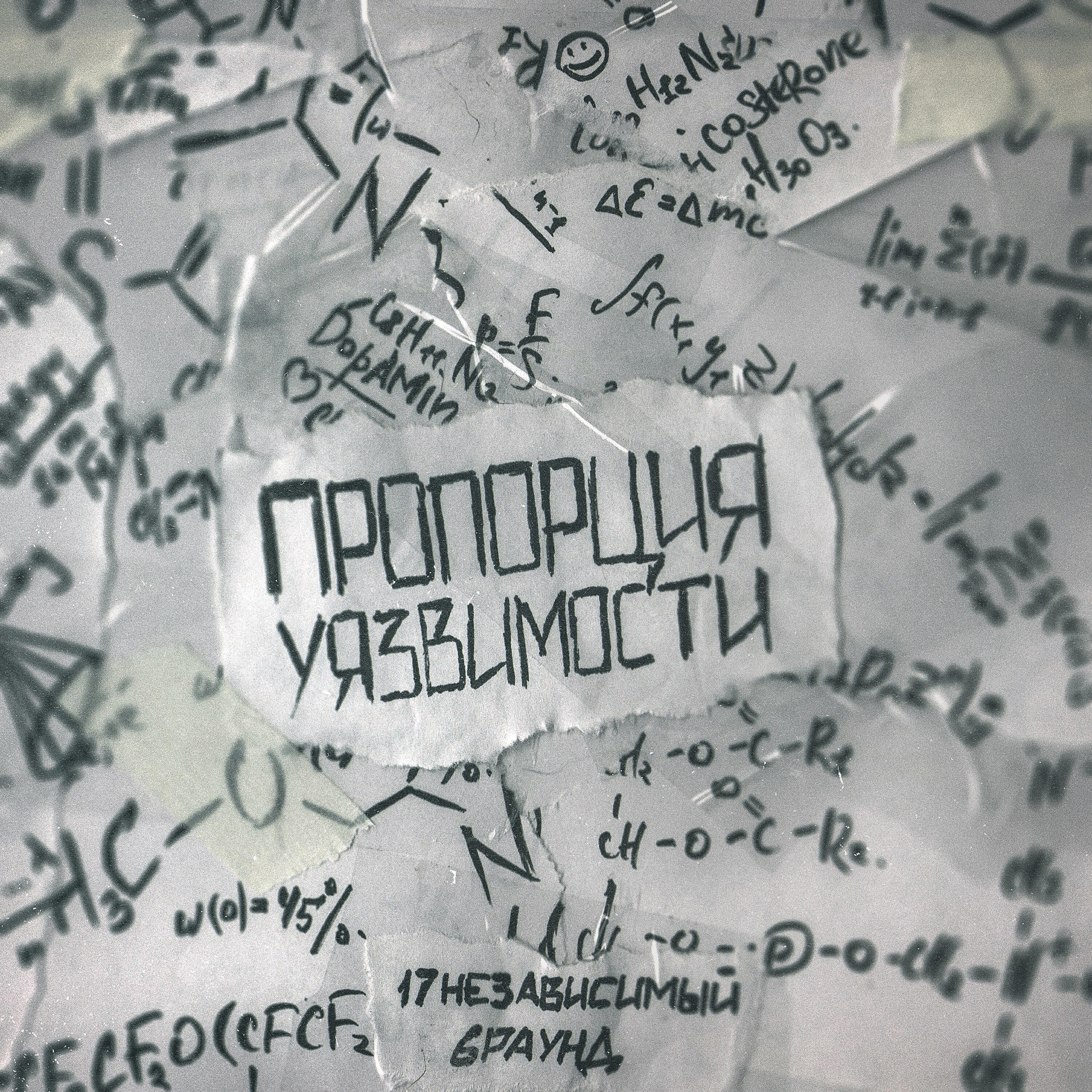 Пропорция уязвимости