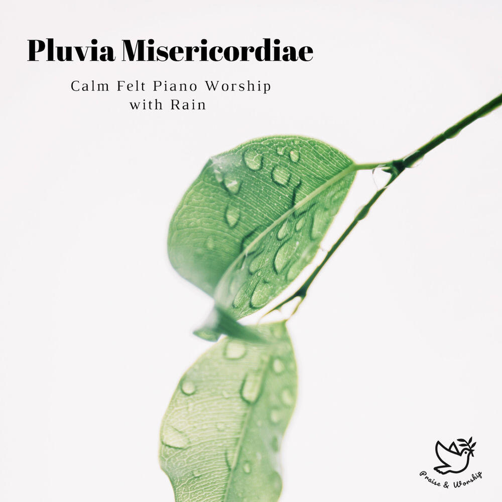 Альбом Pluvia Misericordiae -Calm Felt Piano Worship with Rain- исполнителя Praise, Worship