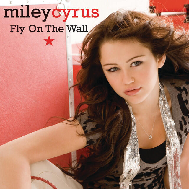 Fly On The Wall (All Other BPs)