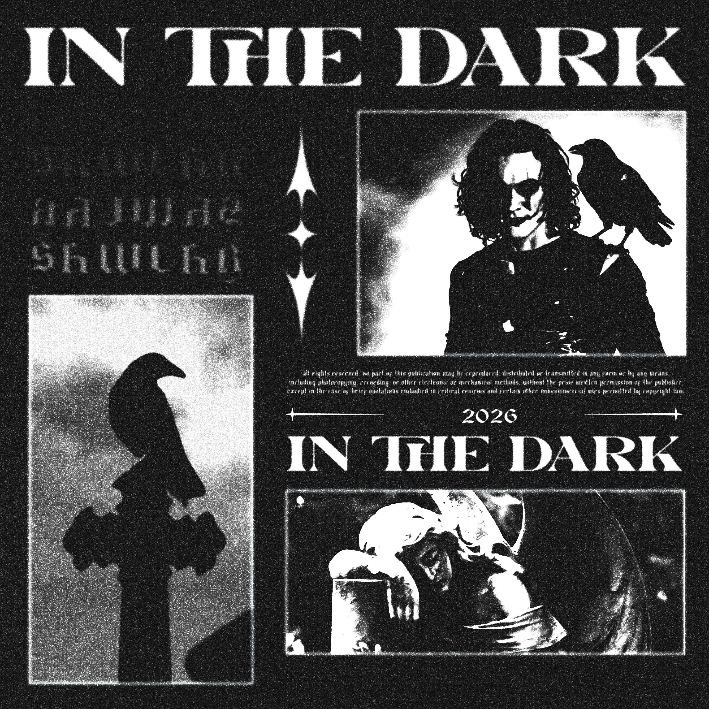 Альбом In the Dark исполнителя SKWLKR